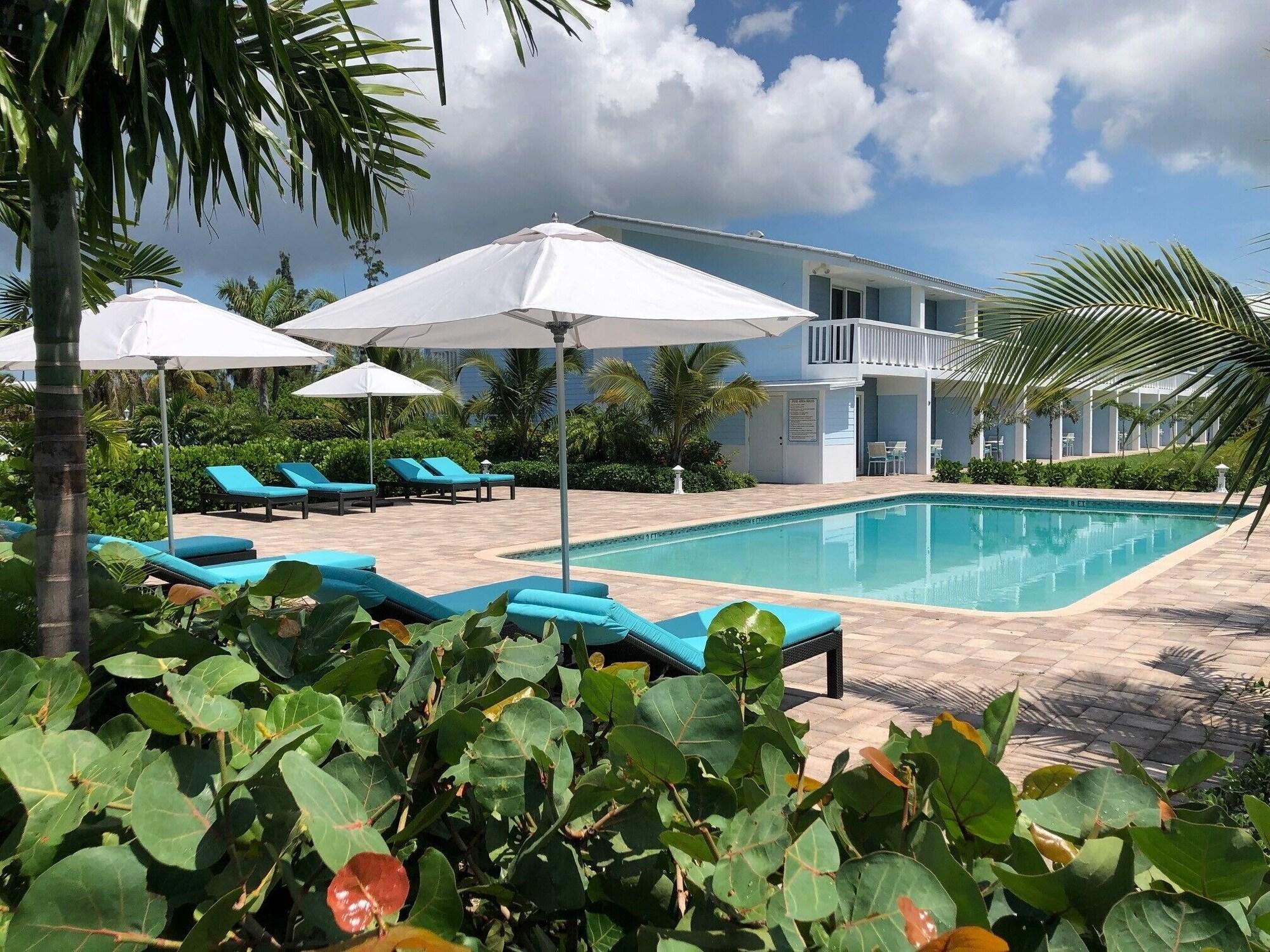 Dolphin Cove by null