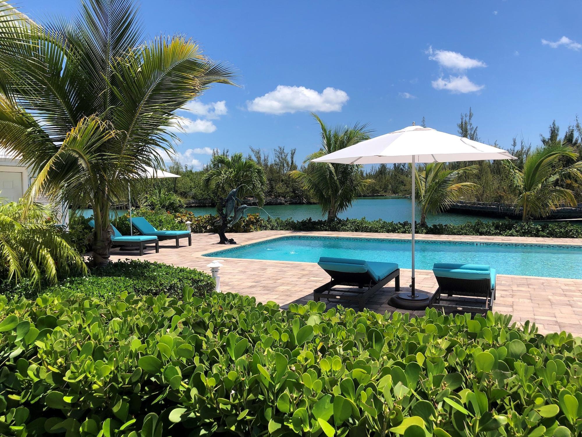 Dolphin Cove by null