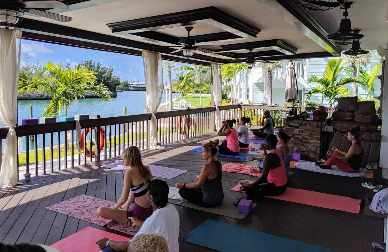 Dolphin Cove by null