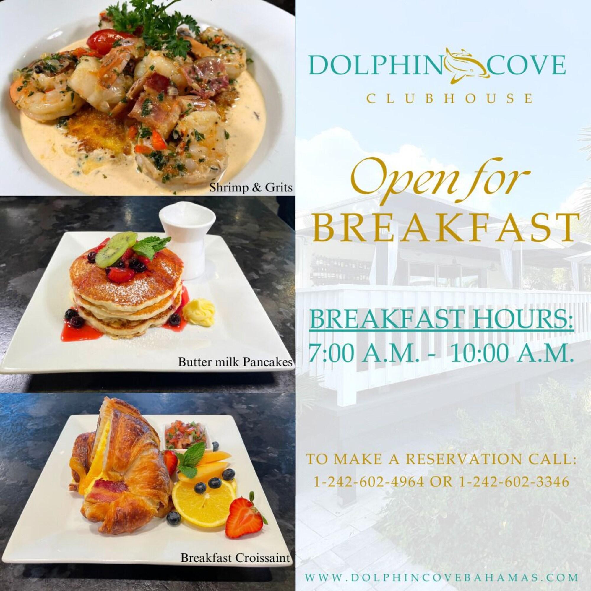 Dolphin Cove by null