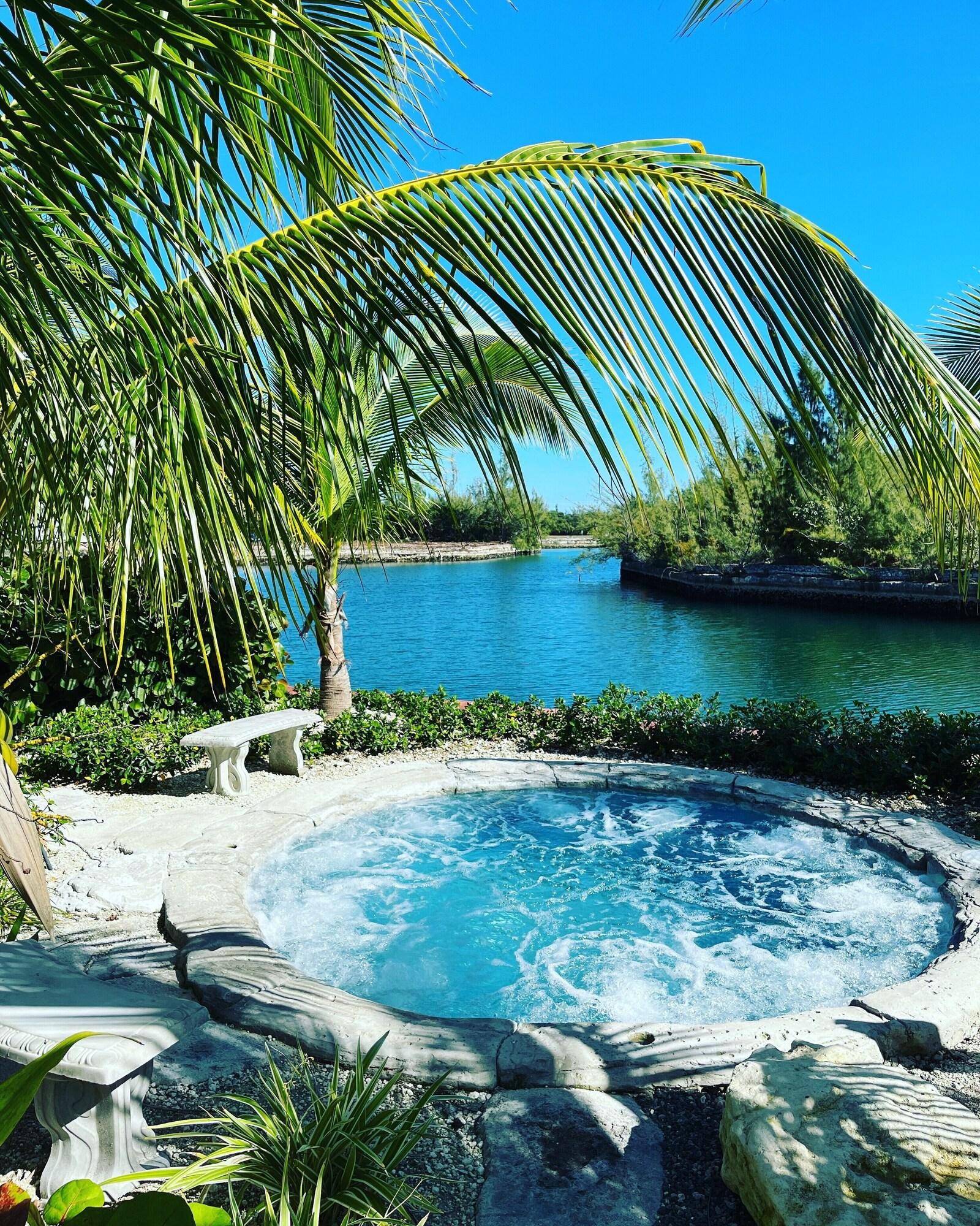 Dolphin Cove by null