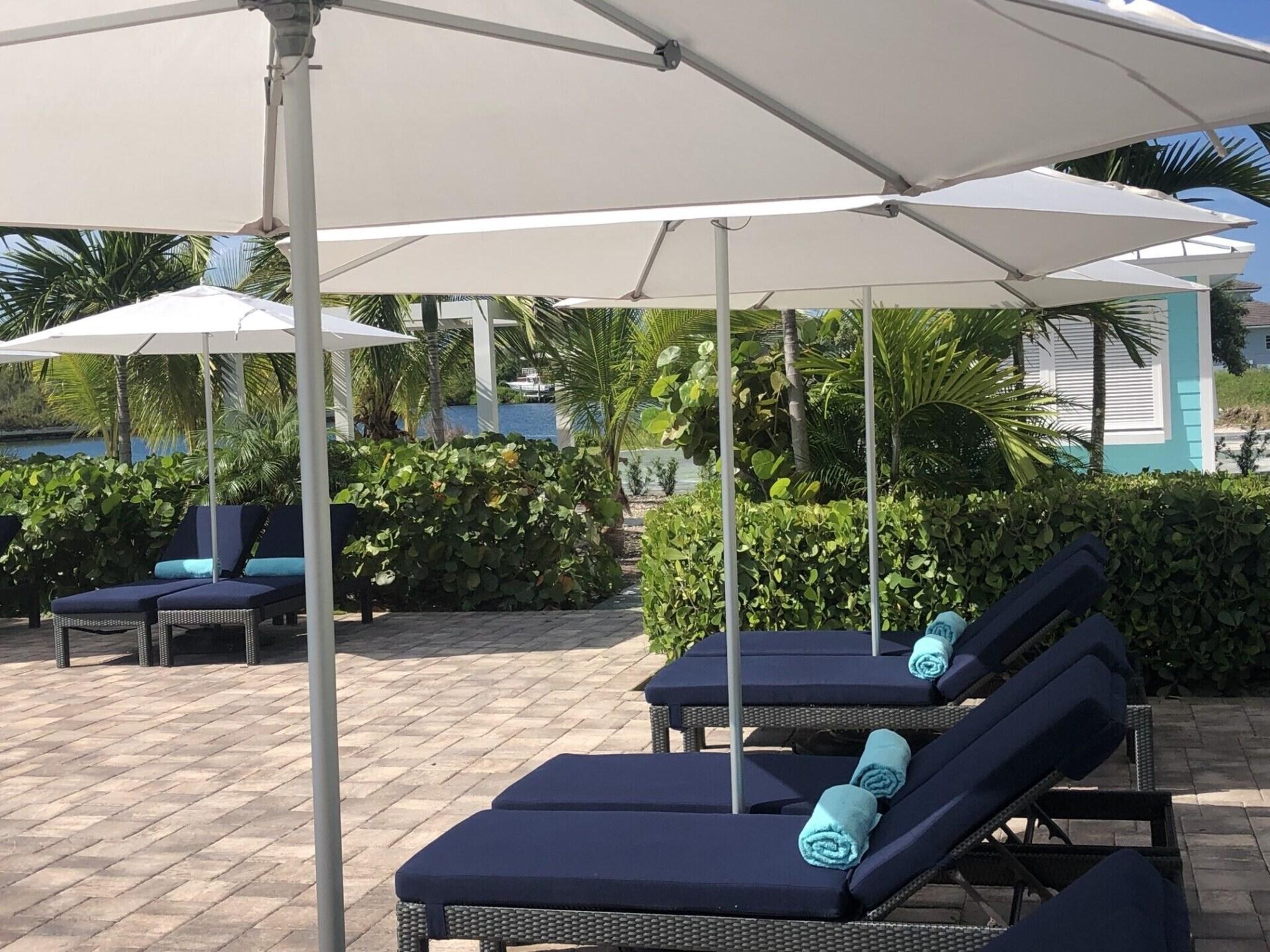 Dolphin Cove by null