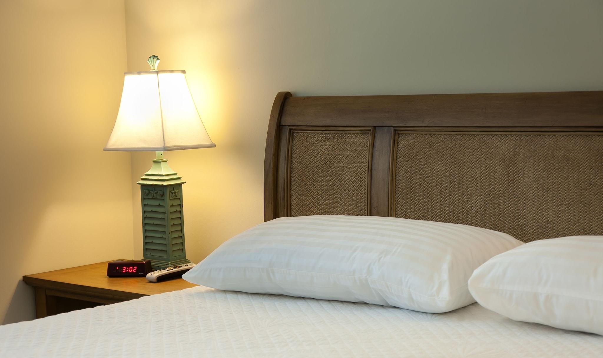 Dolphin Cove by null