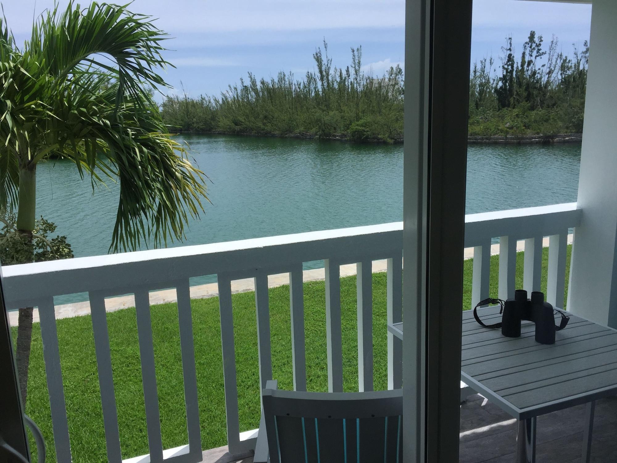 Dolphin Cove by null