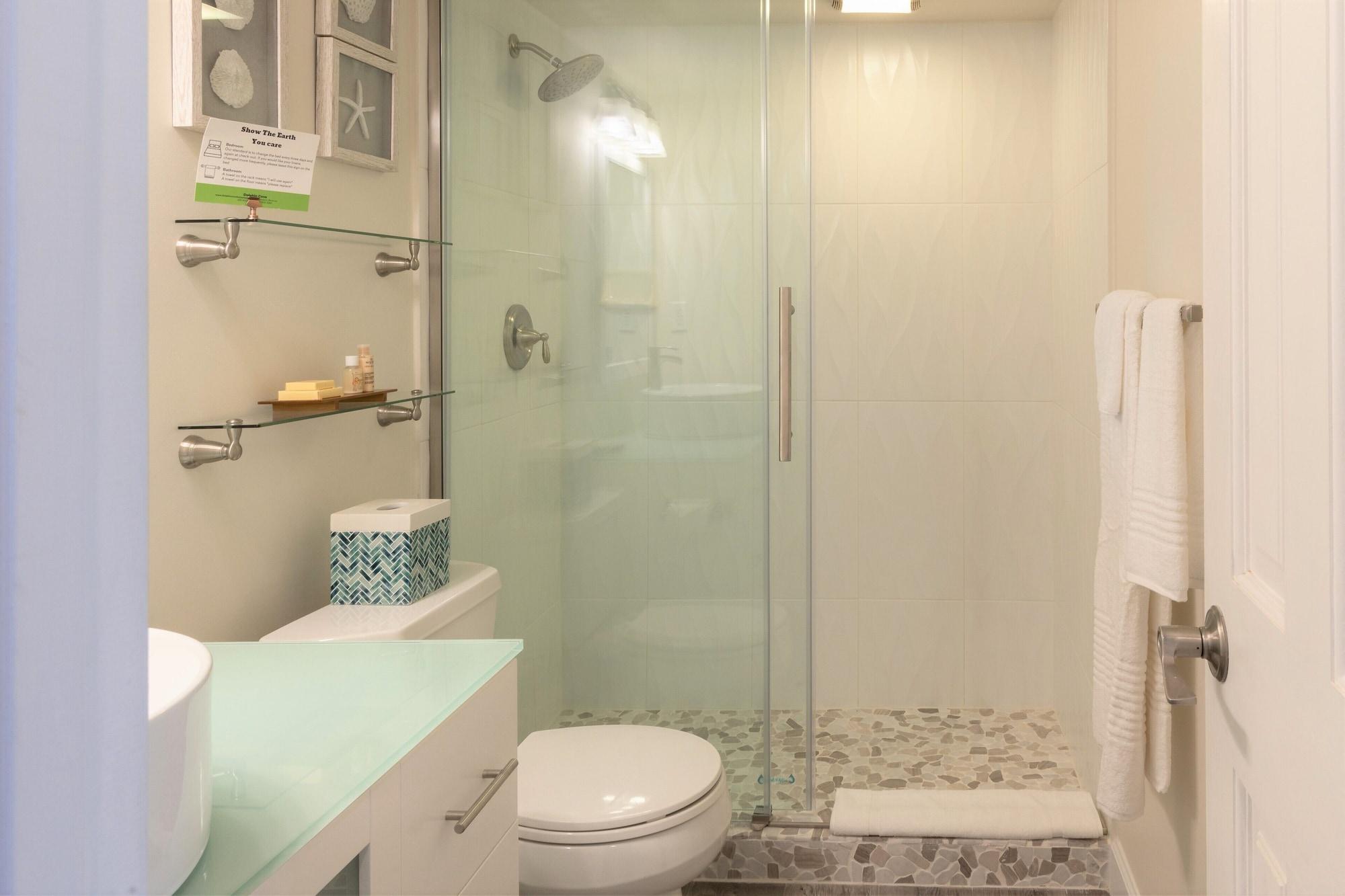 Dolphin Cove by null