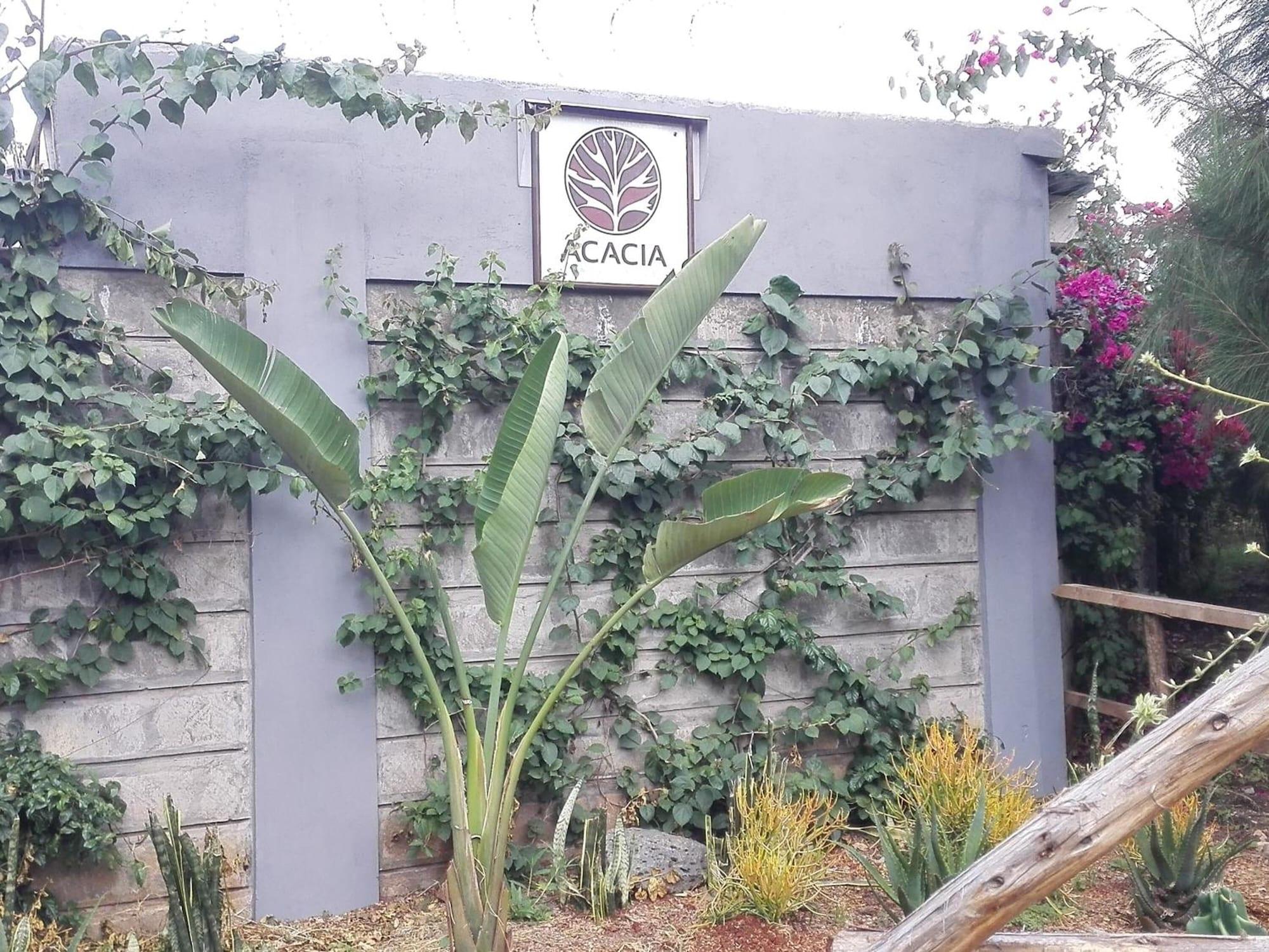 Acacia Tree Lodge by null