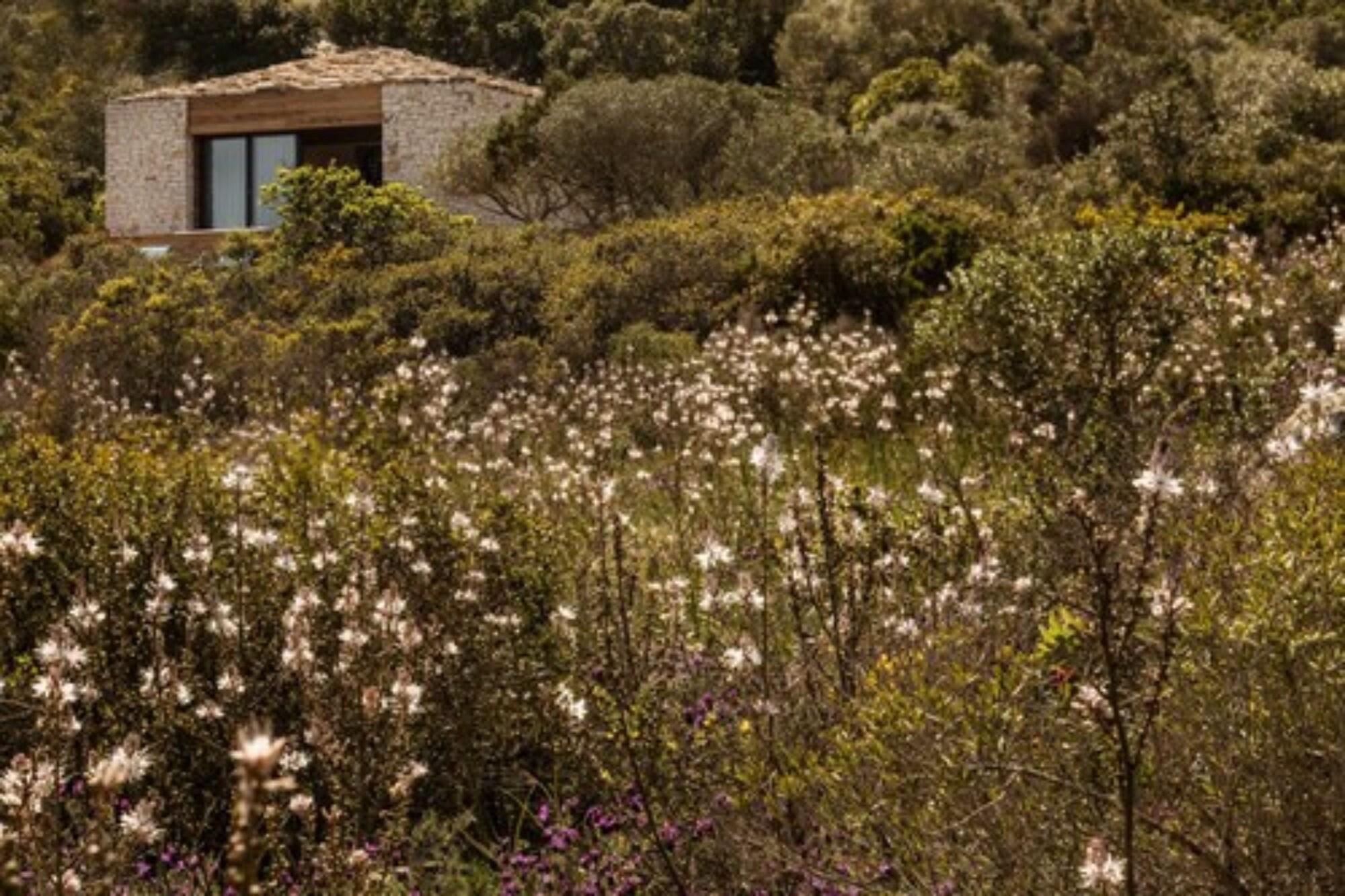 Hôtel Version Maquis Santa Manza by null