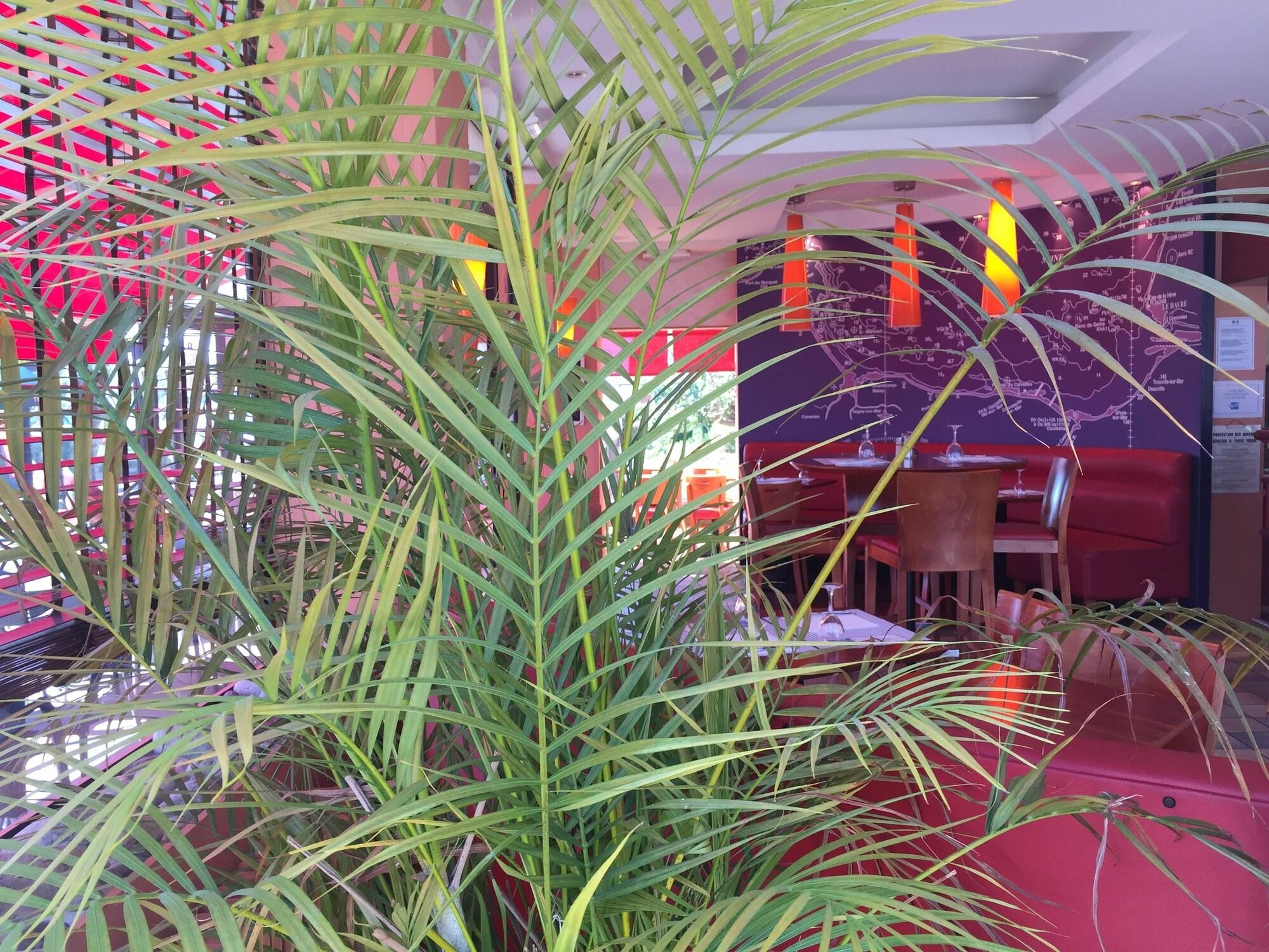 Hôtel du Phare by null