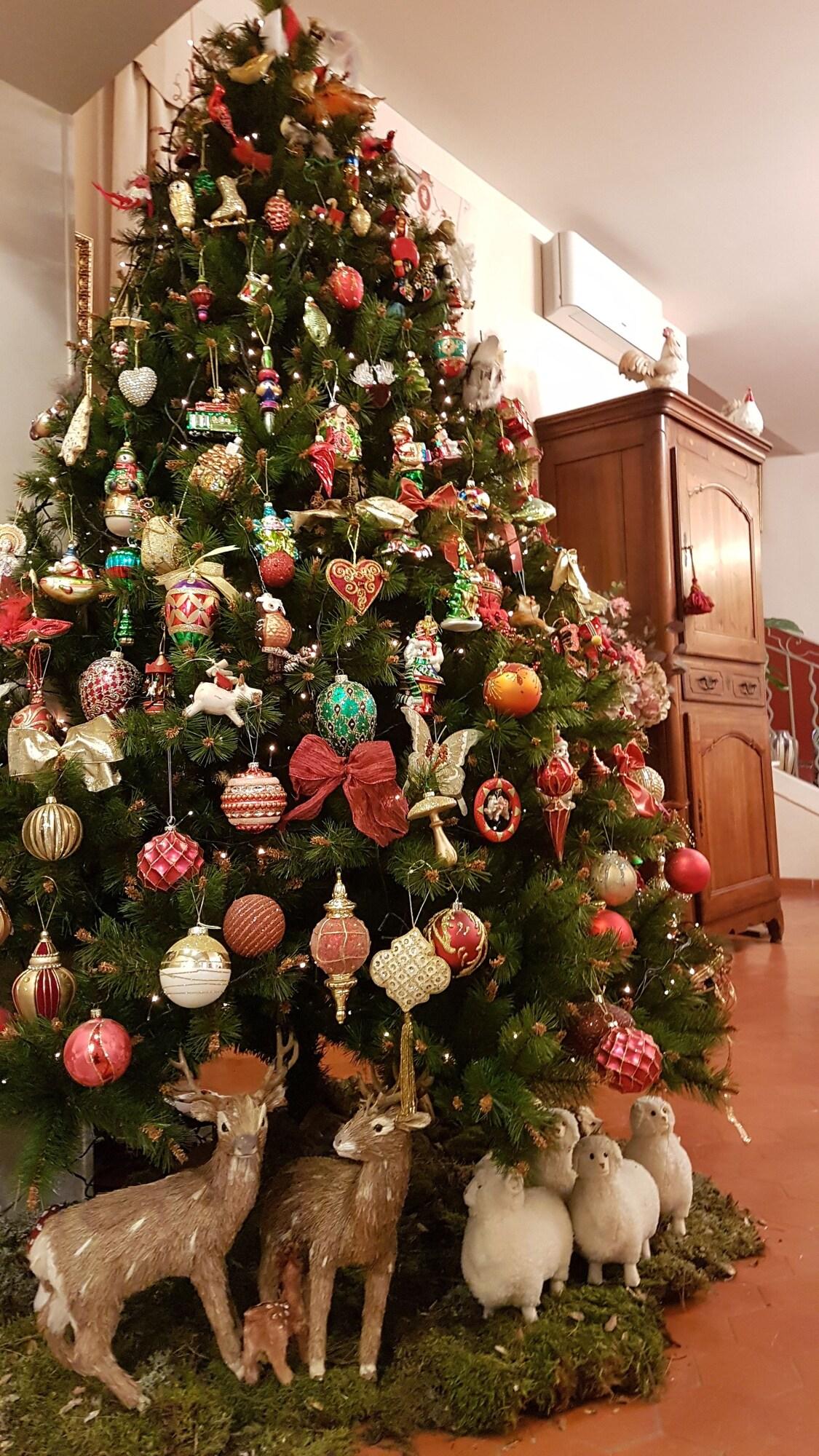 Hôtel Cardinal by null