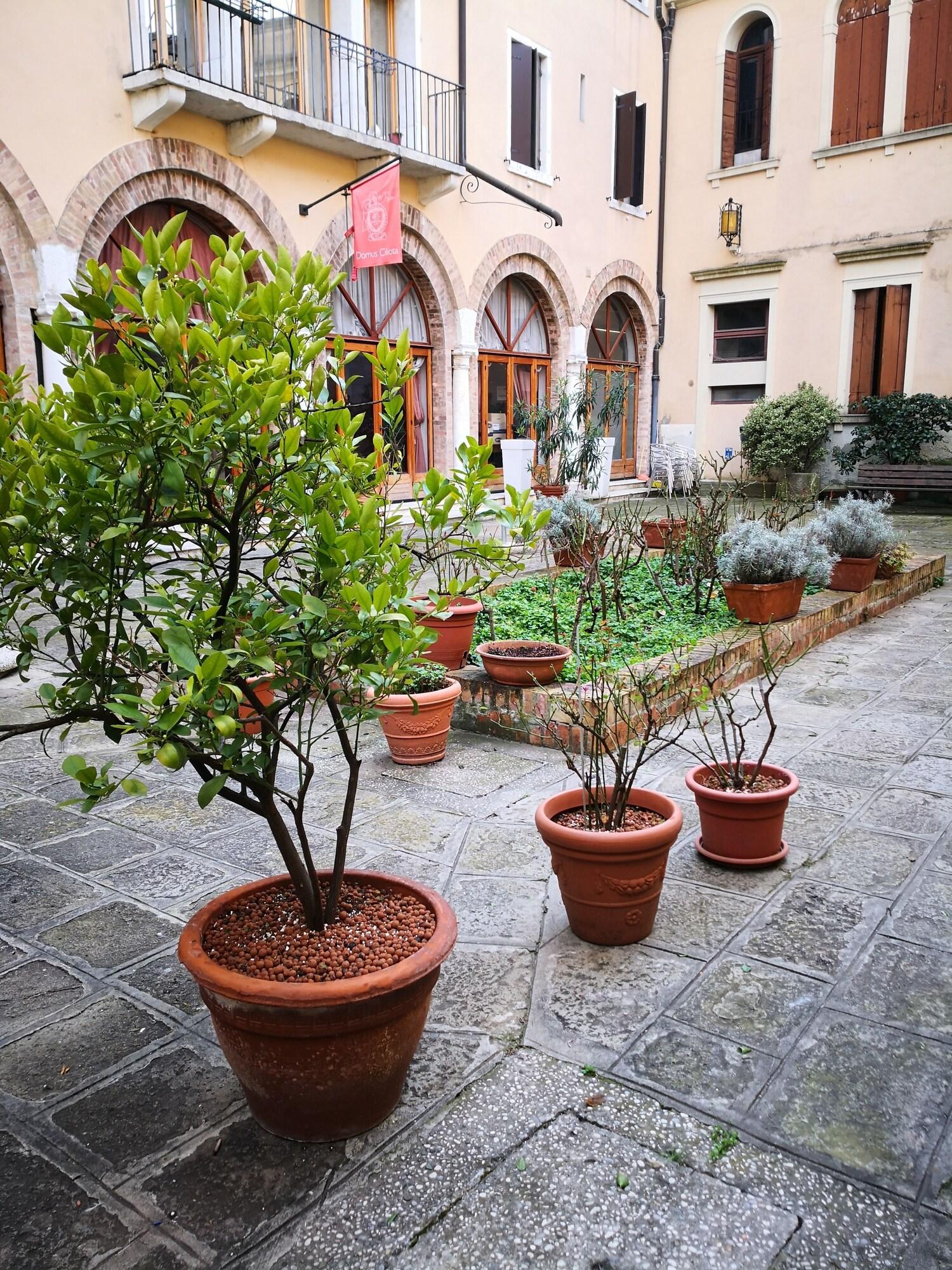 Domus Ciliota - nuotrauka