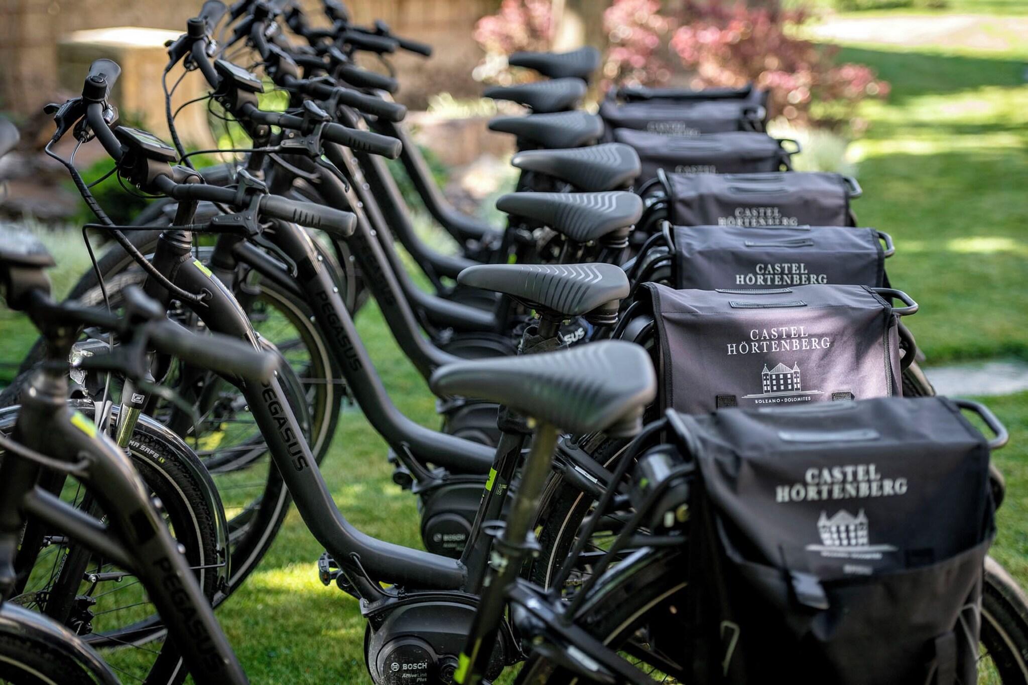 Castel Hörtenberg by null