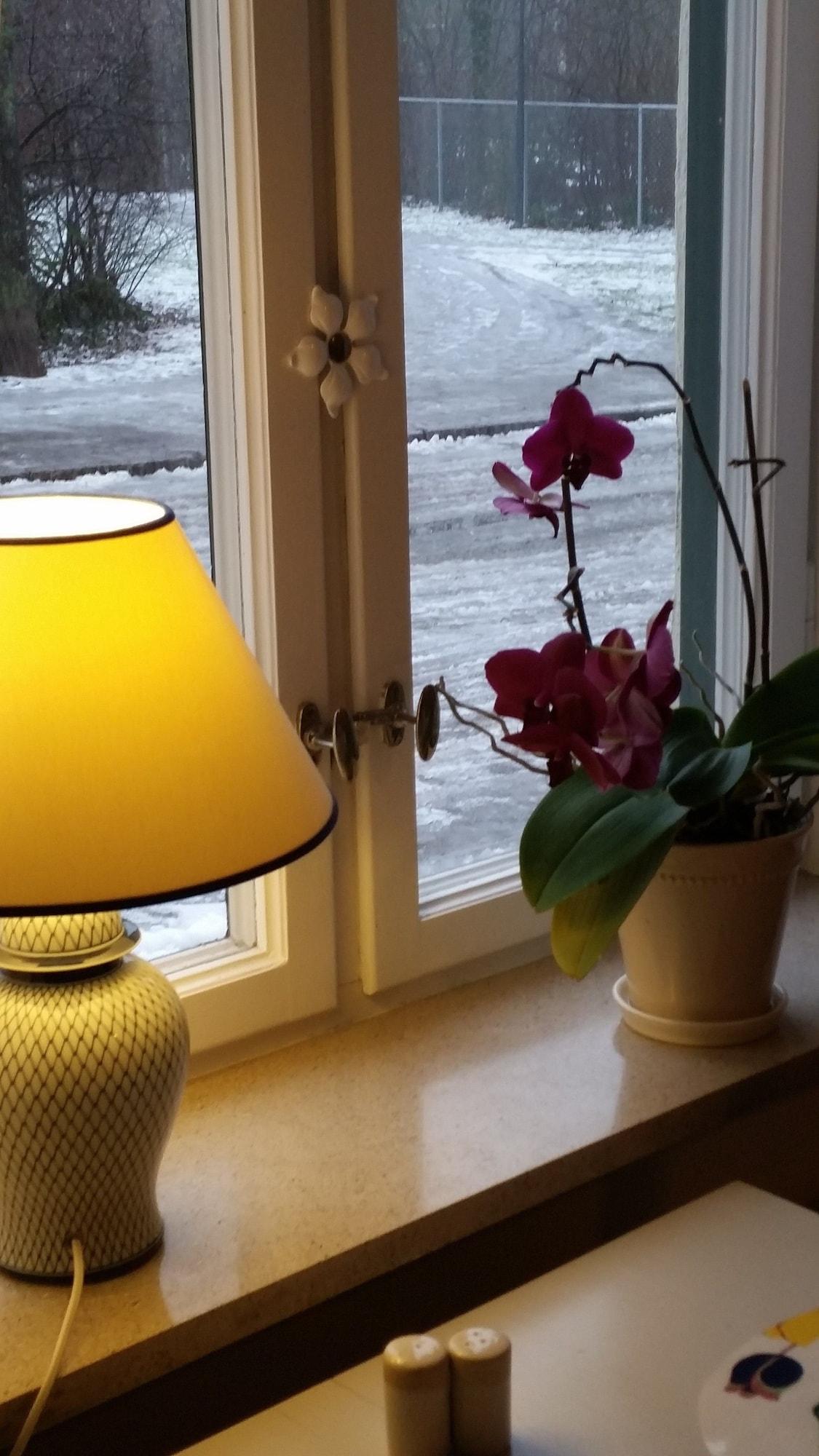 Lilla Hotellet by null