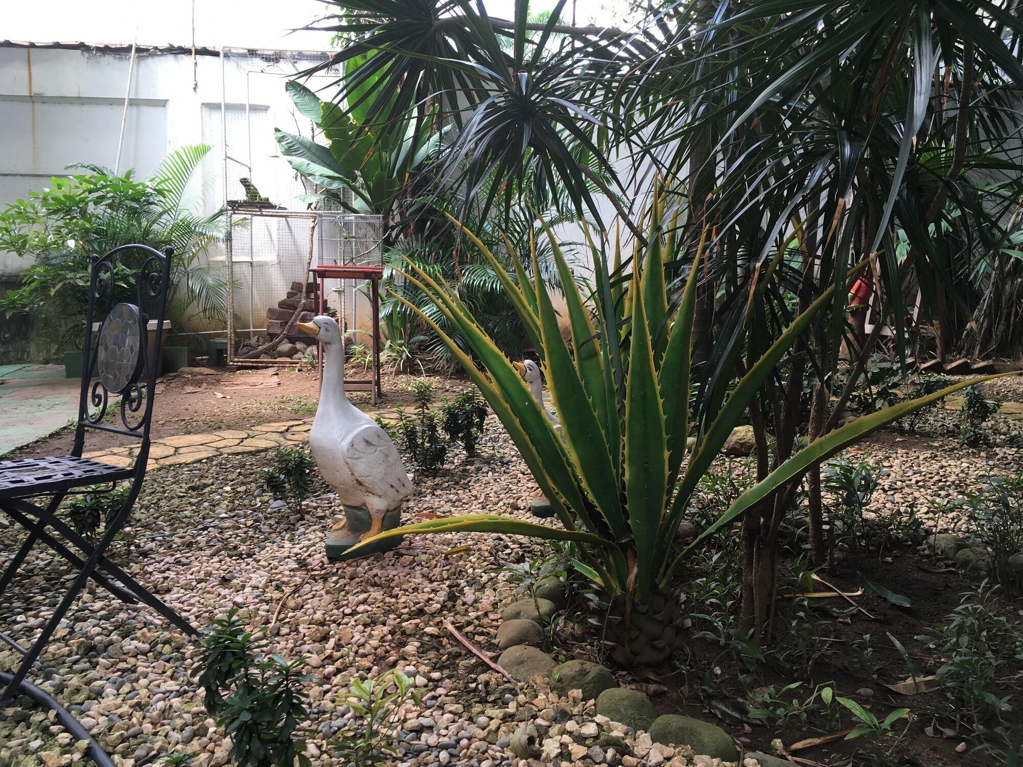 Panama House Bed & Breakfast by null