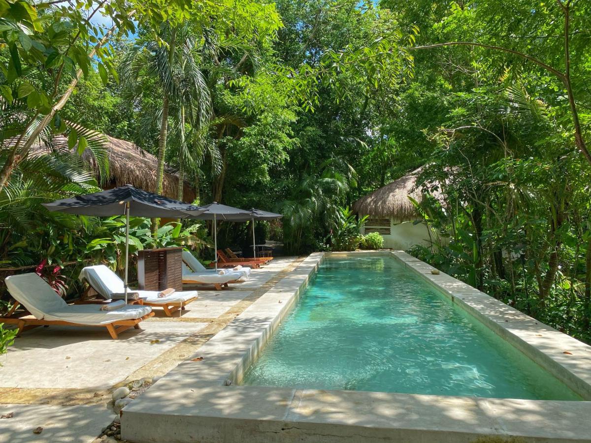 Piedra de Agua Hotel Boutique & SPA Palenque by null