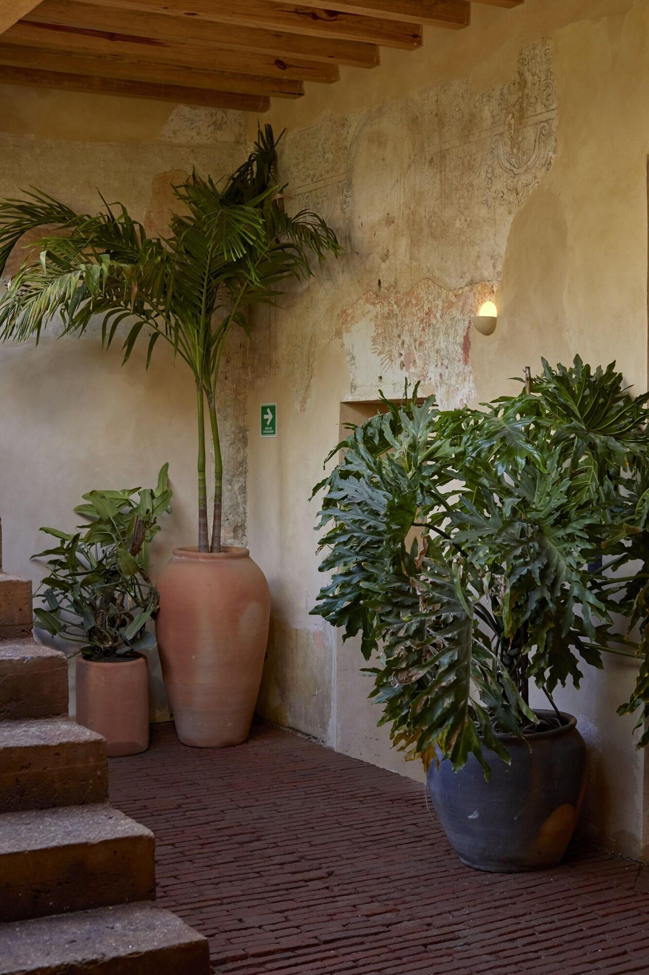 Hotel Escondido by null