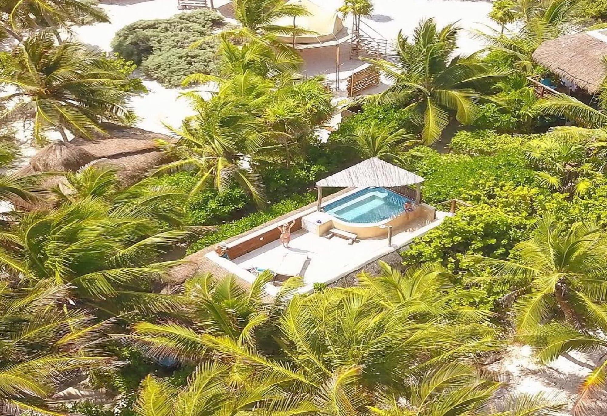 Orchid Beach House by null