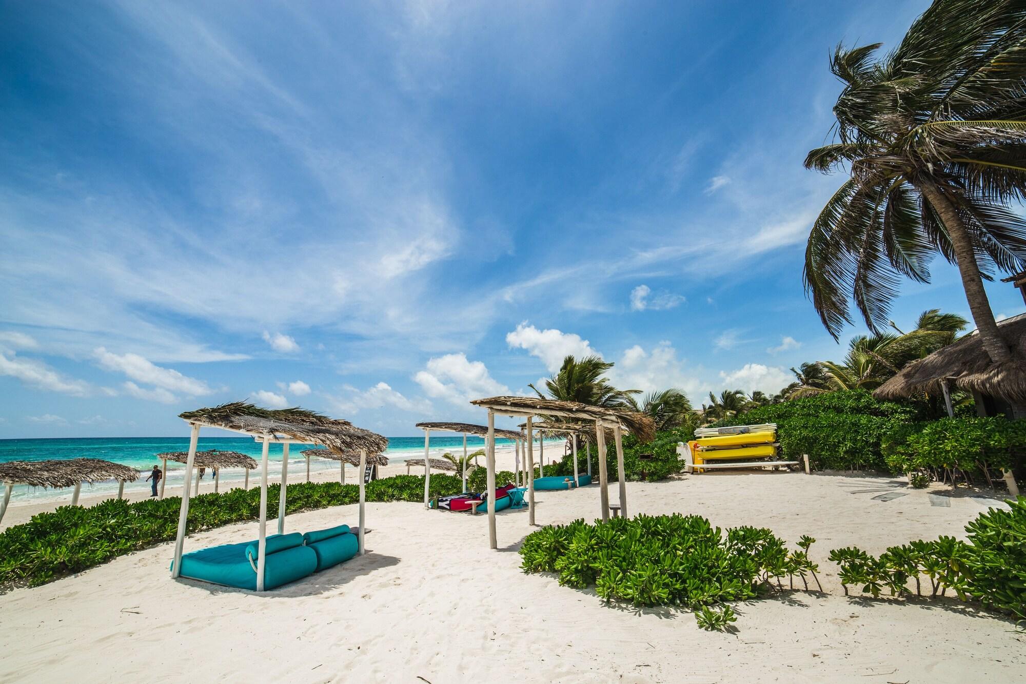 Orchid Beach House by null