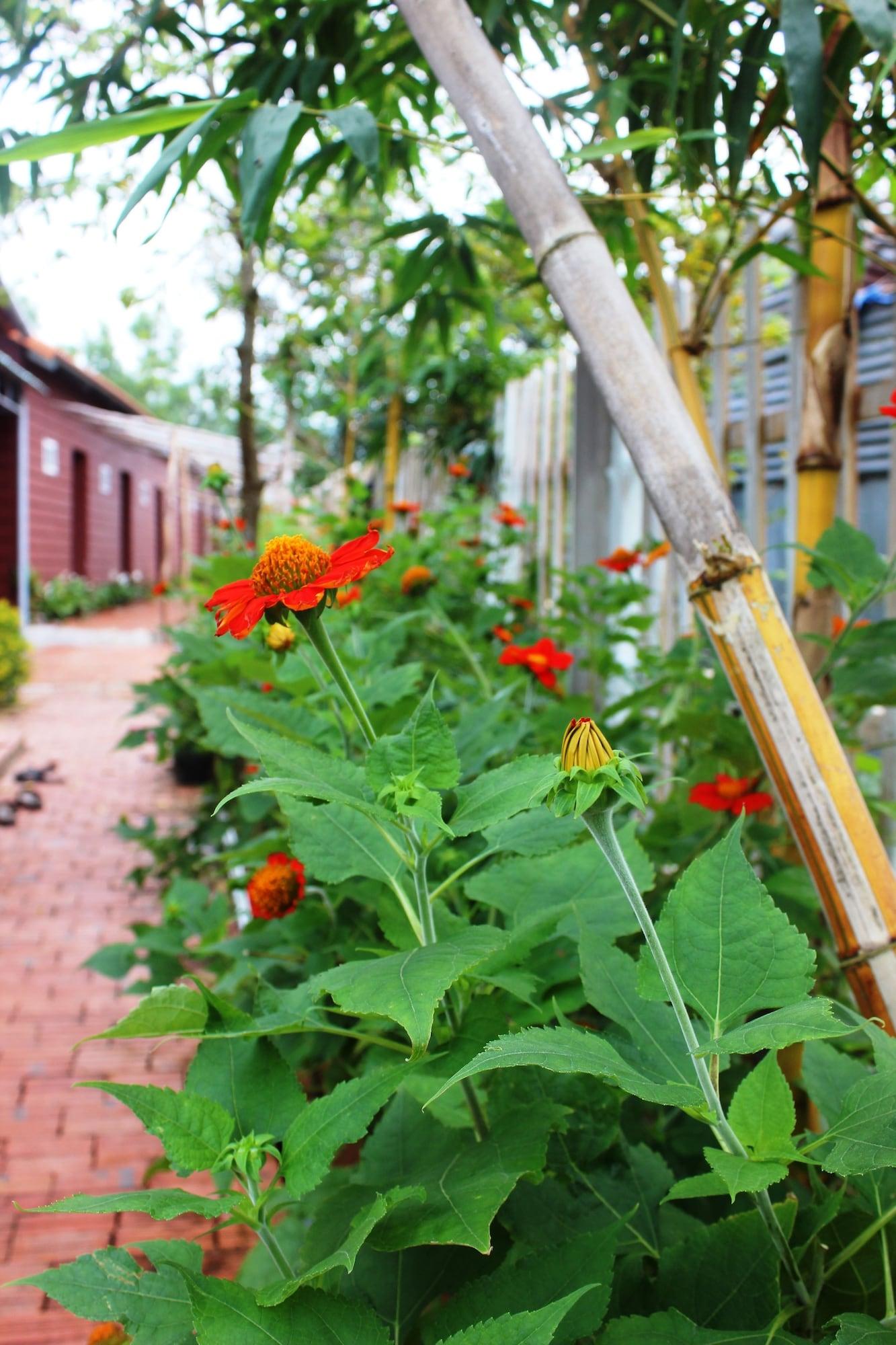 Seaside Villa - фото