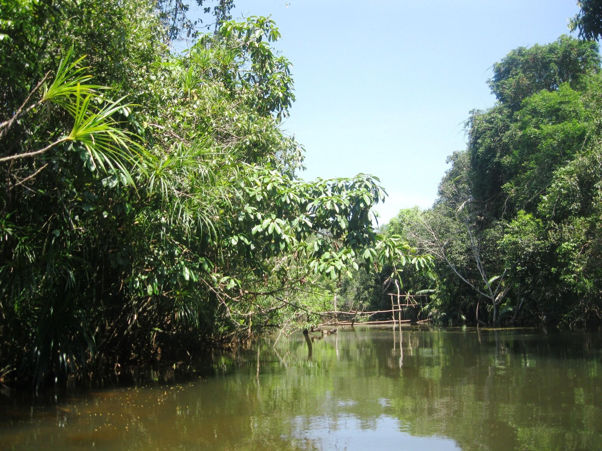 Seaside Villa - фото