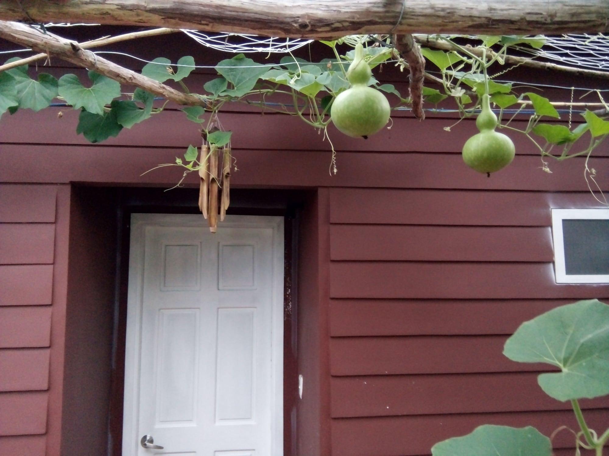 Seaside Villa - фото