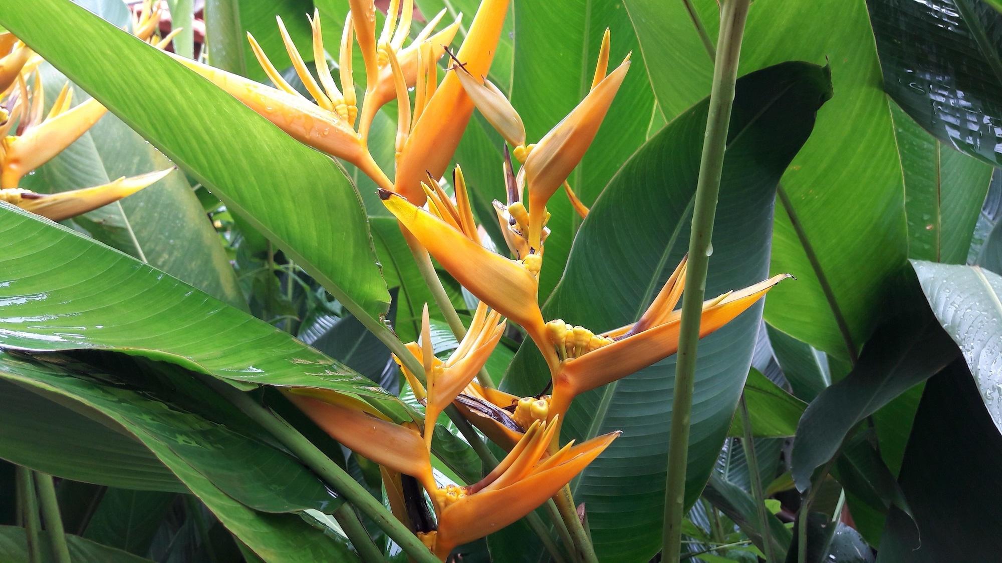 Seaside Villa - фото