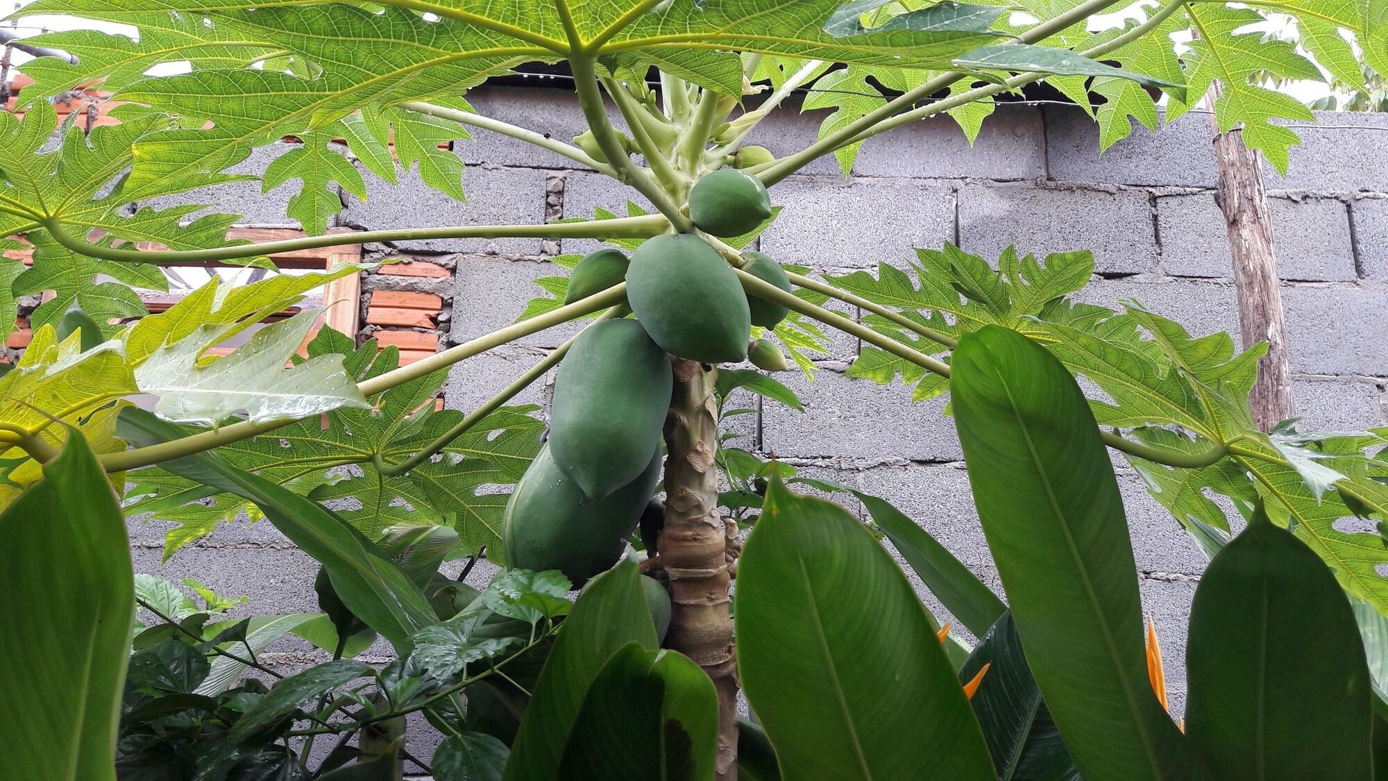 Seaside Villa - фото