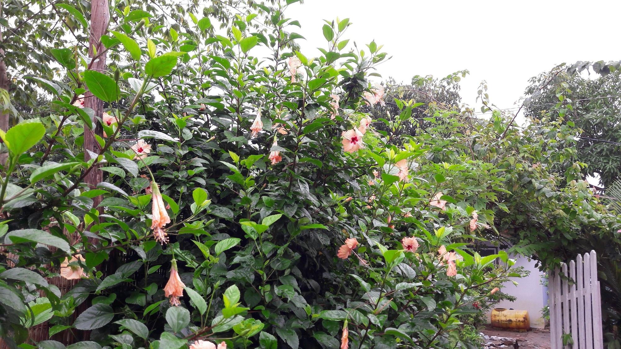 Seaside Villa - фото