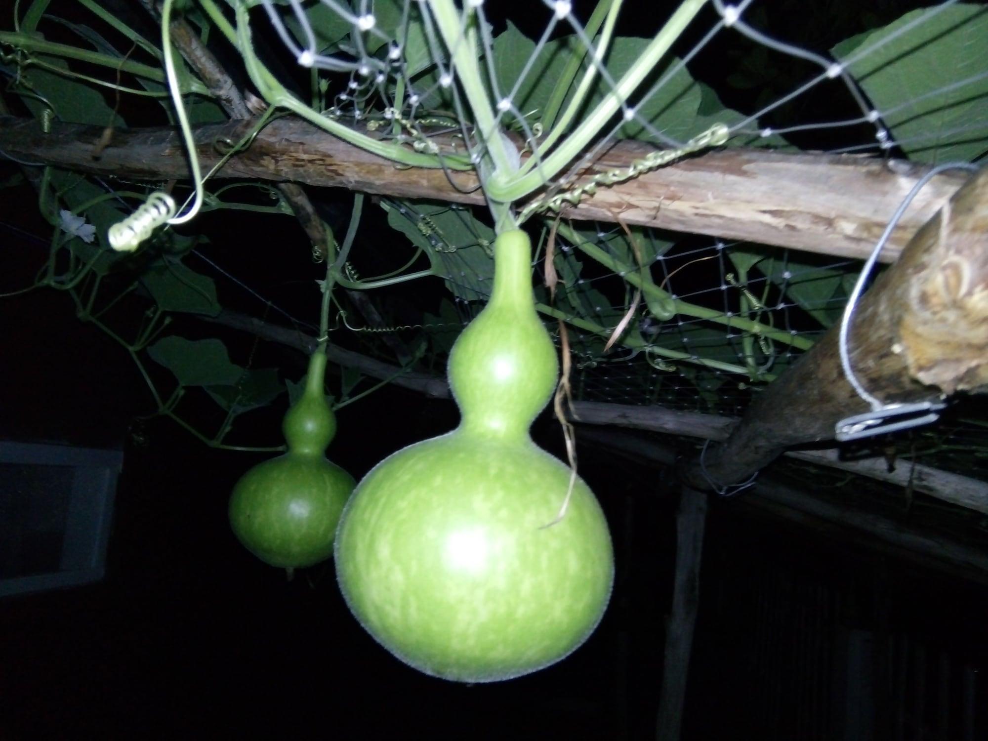 Seaside Villa - фото