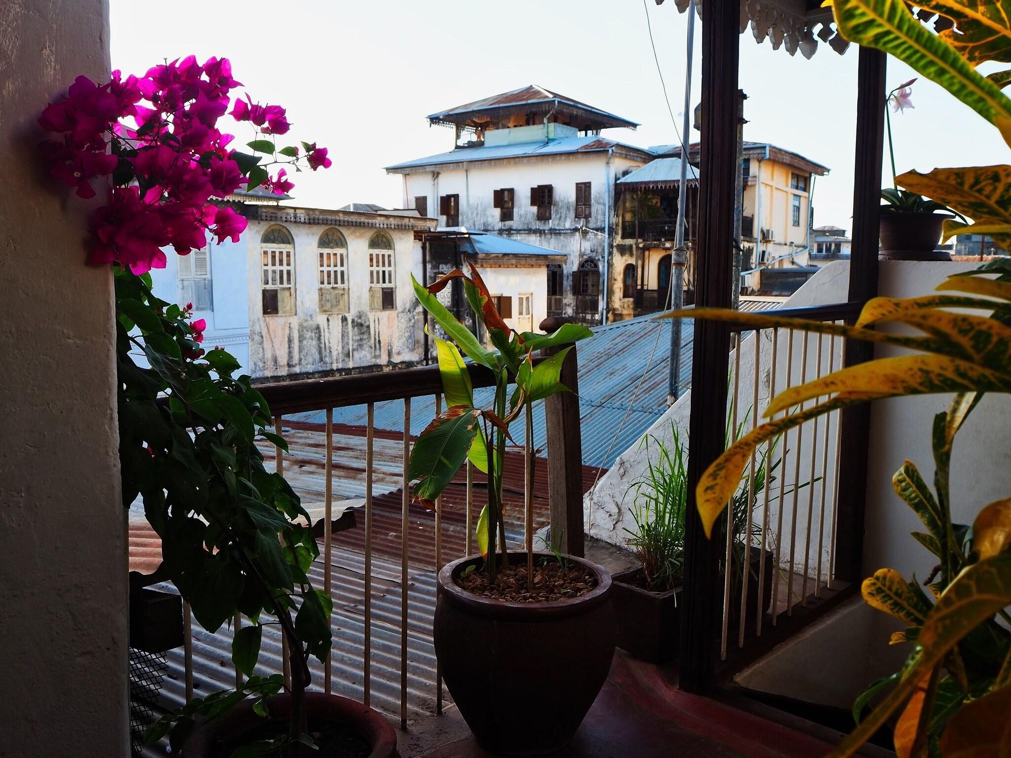 Zanzibar Coffee House by null