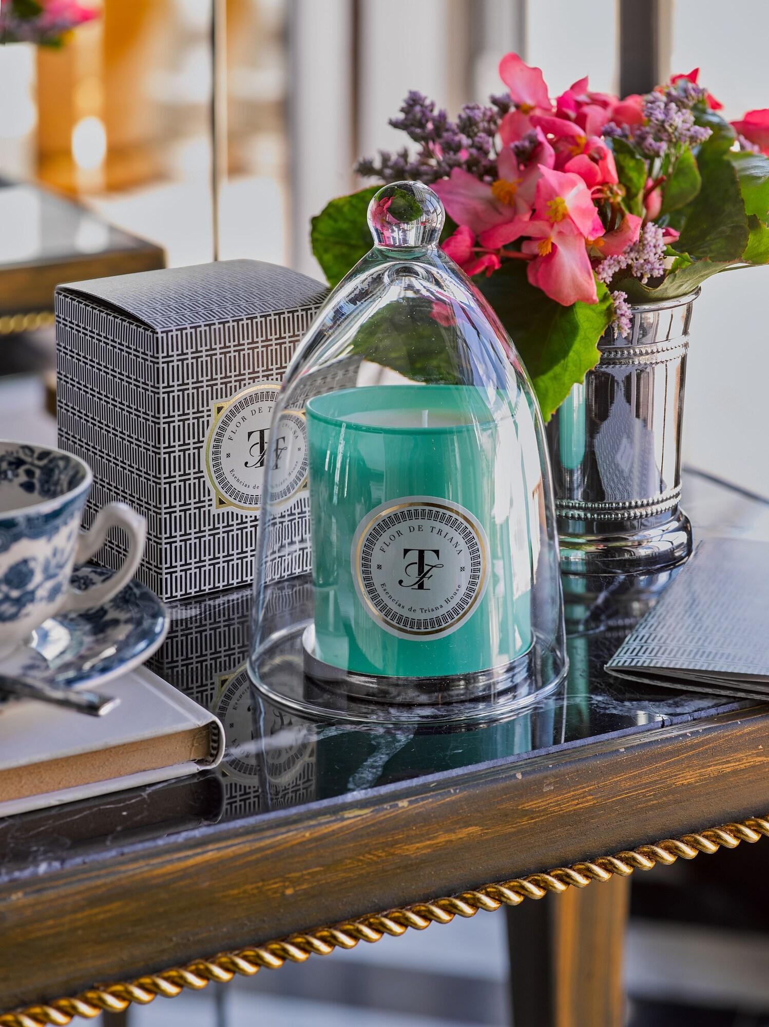 Triana House by null