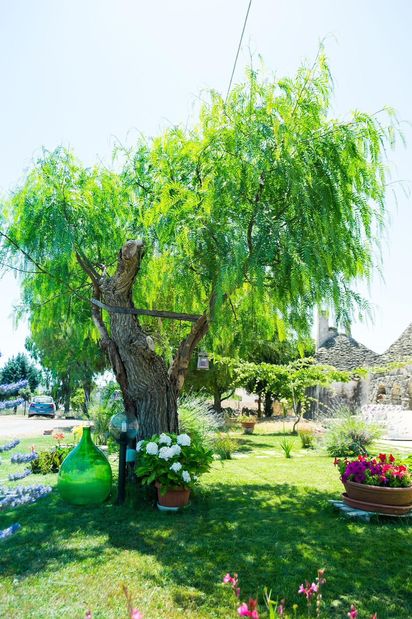 Trulli Donna Isabella