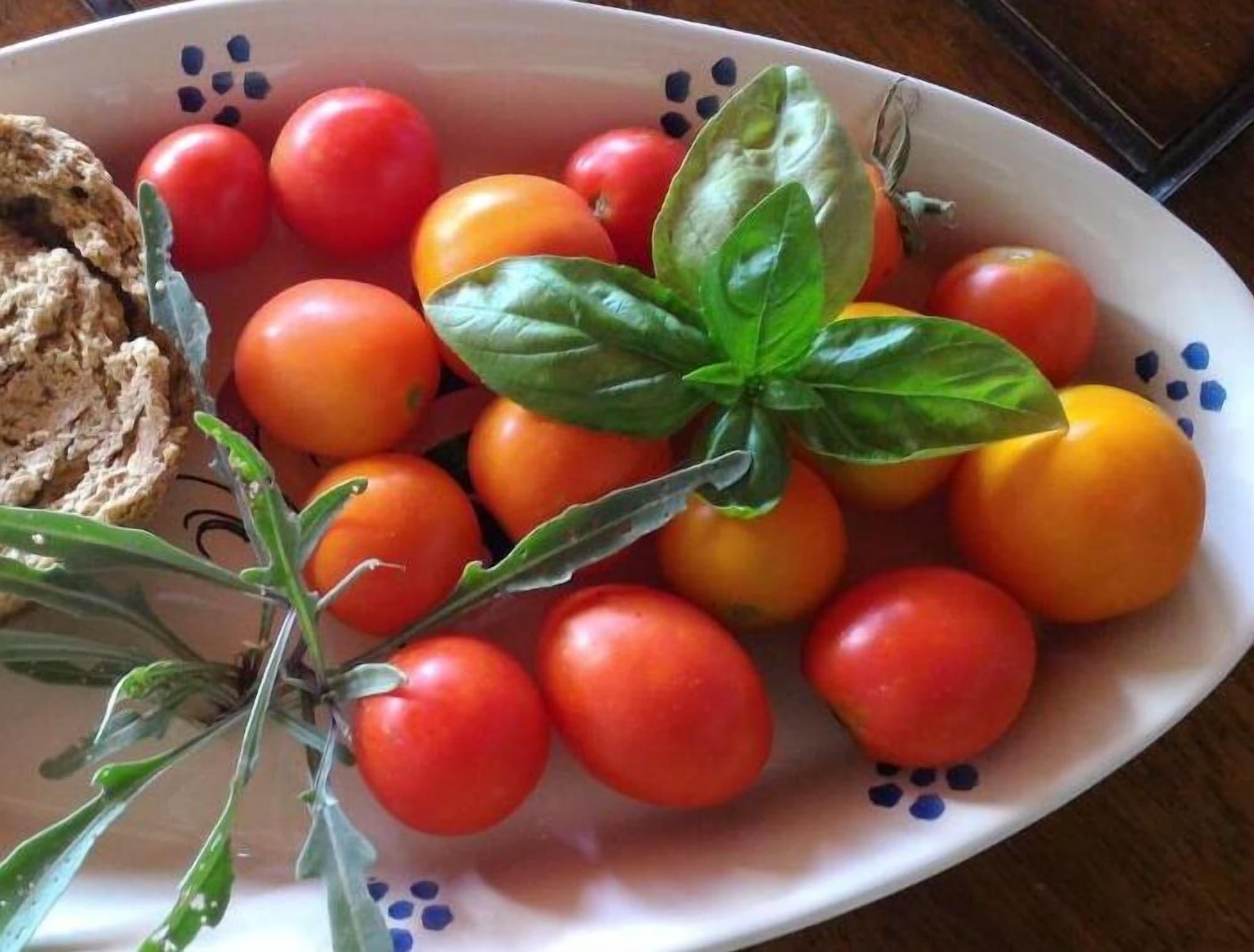 Il Tacco Dello Stivale B&B