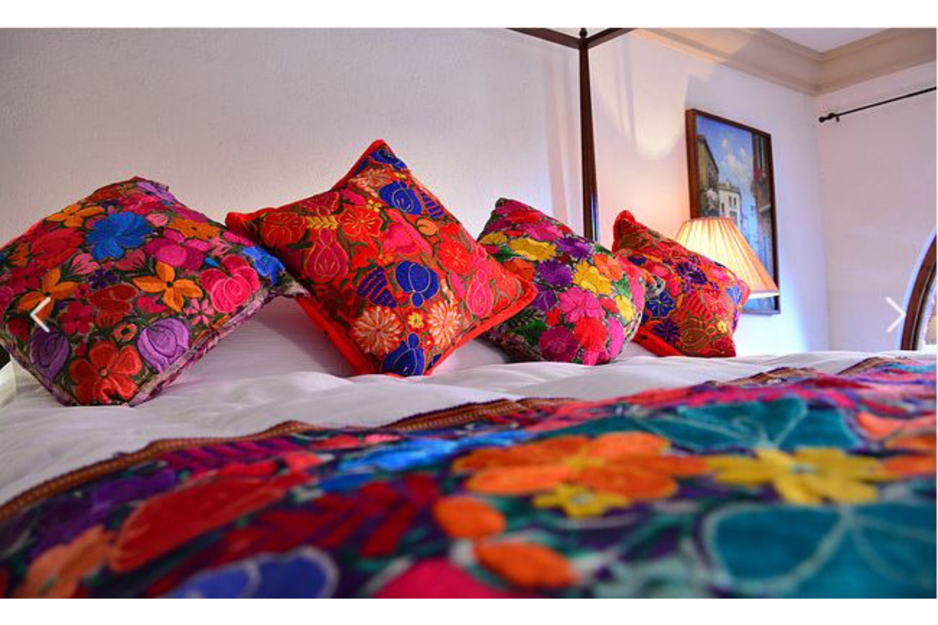 Collection O Casa Bella Hotel Boutique, Cabo San Lucas by null