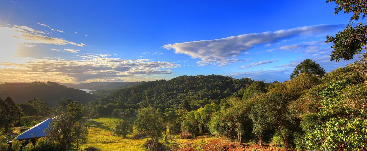 Maleny Tropical Retreat by null