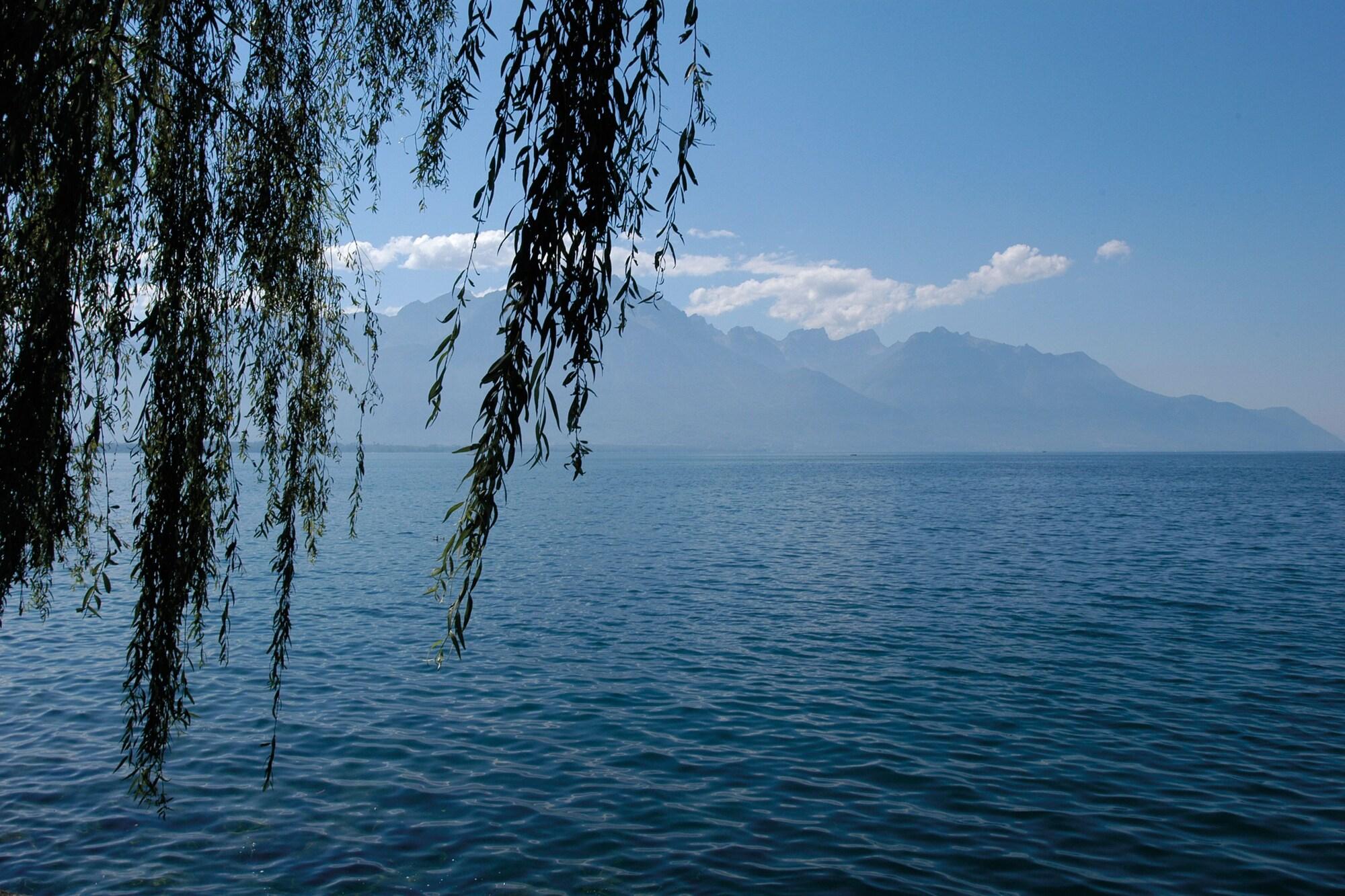 Auberge de Jeunesse Montreux by null