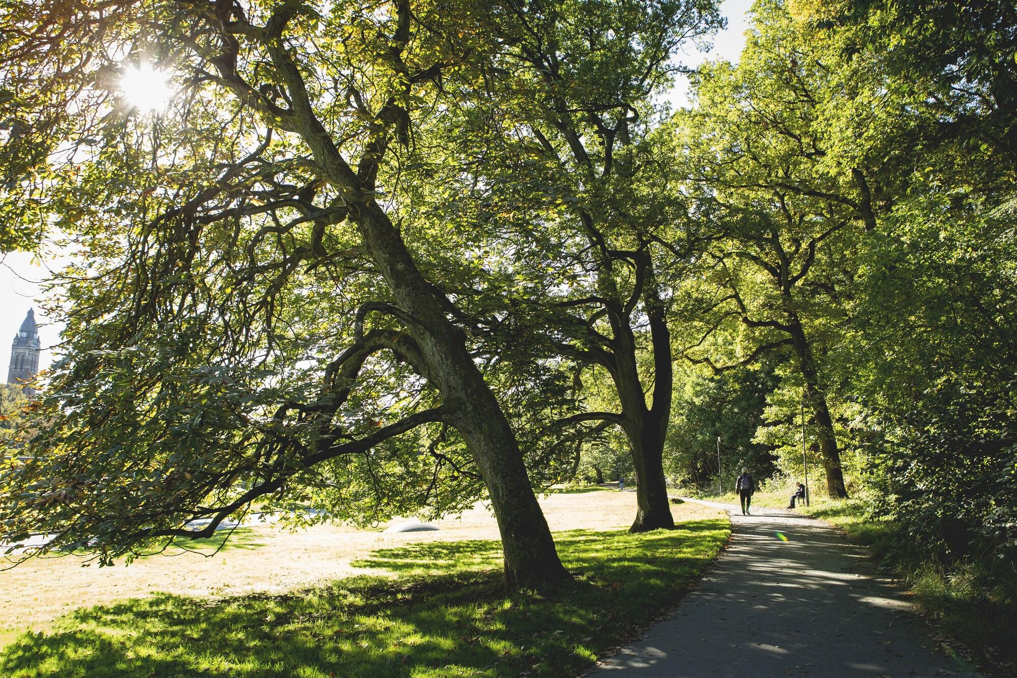 Linnéplatsens Hotell och Vandrarhem by null