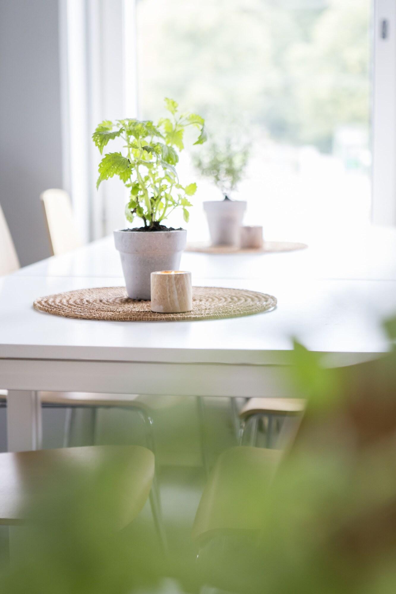 Linnéplatsens Hotell och Vandrarhem by null