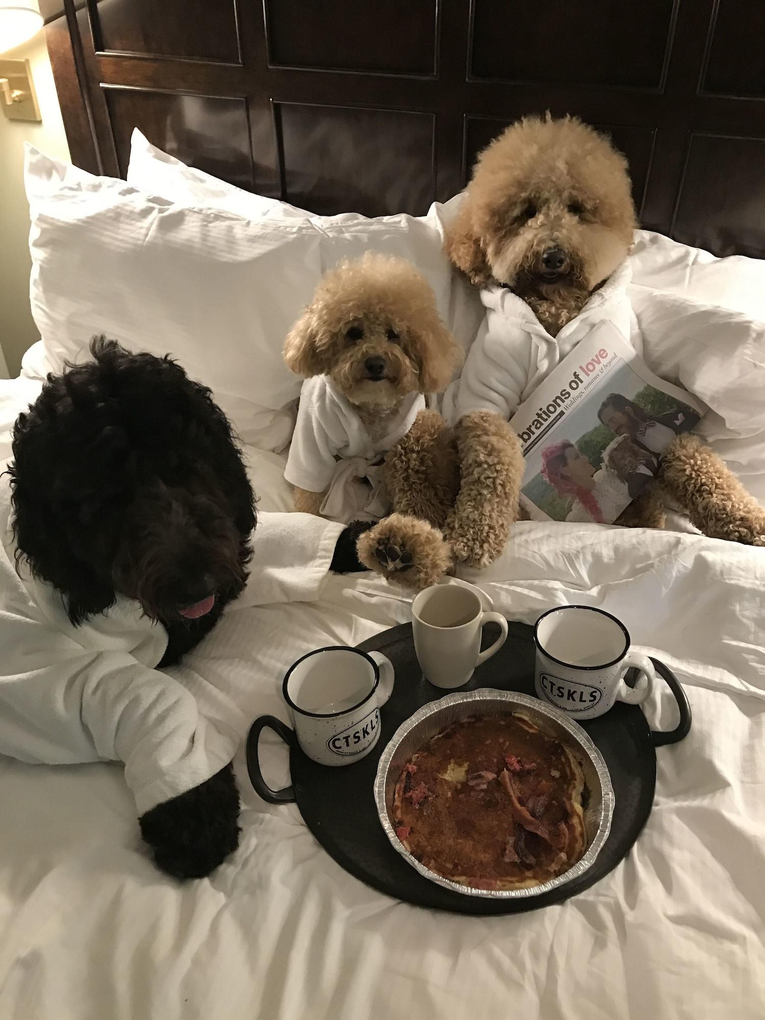 Emerson Resort & Spa by null