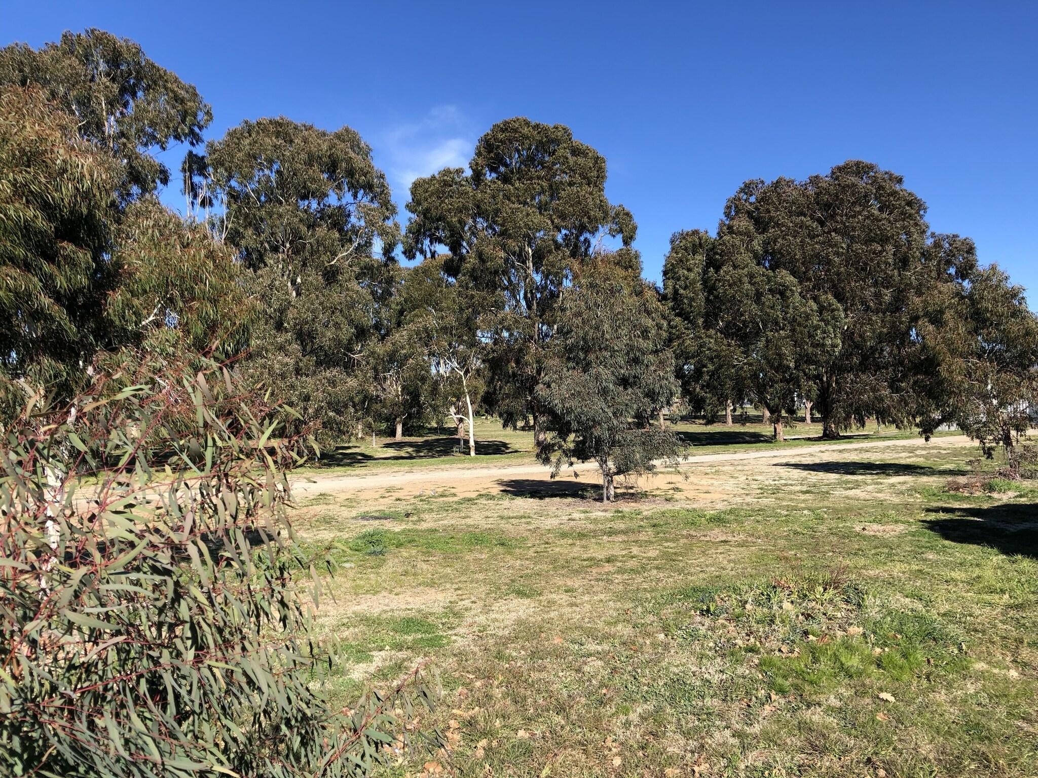 Canberra Lyneham Motor Inn