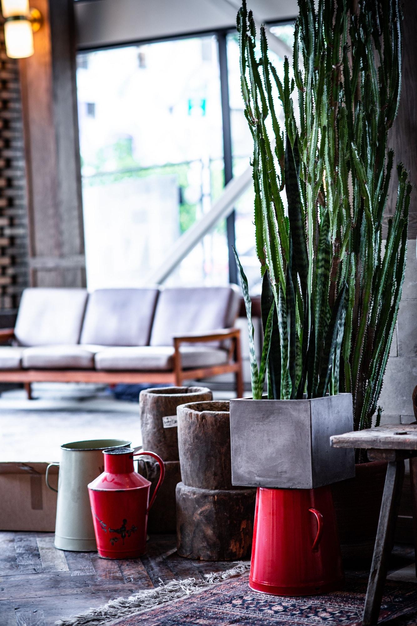 KEX Portland by null