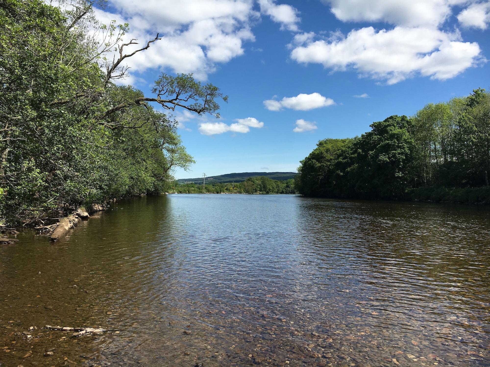 Balnearn House by null