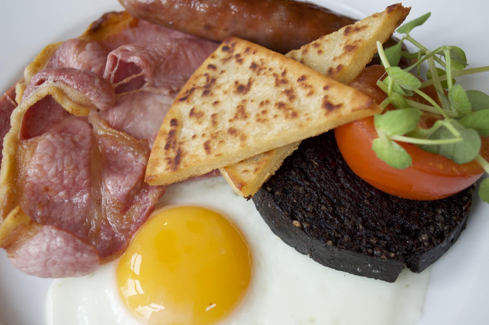 Balnearn House by null