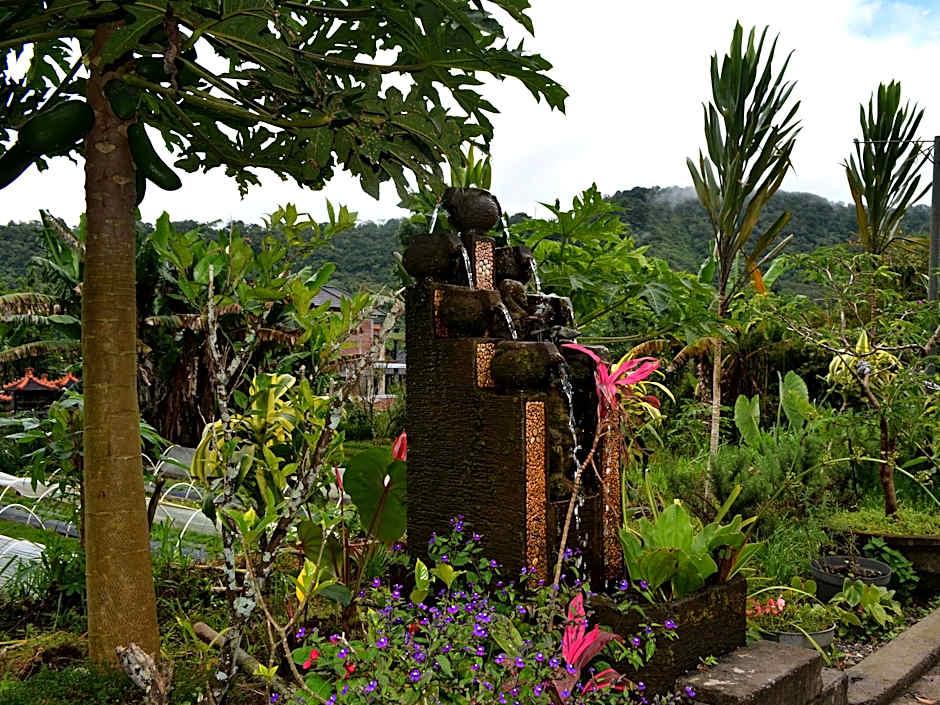 Dajan Buyan Homestay