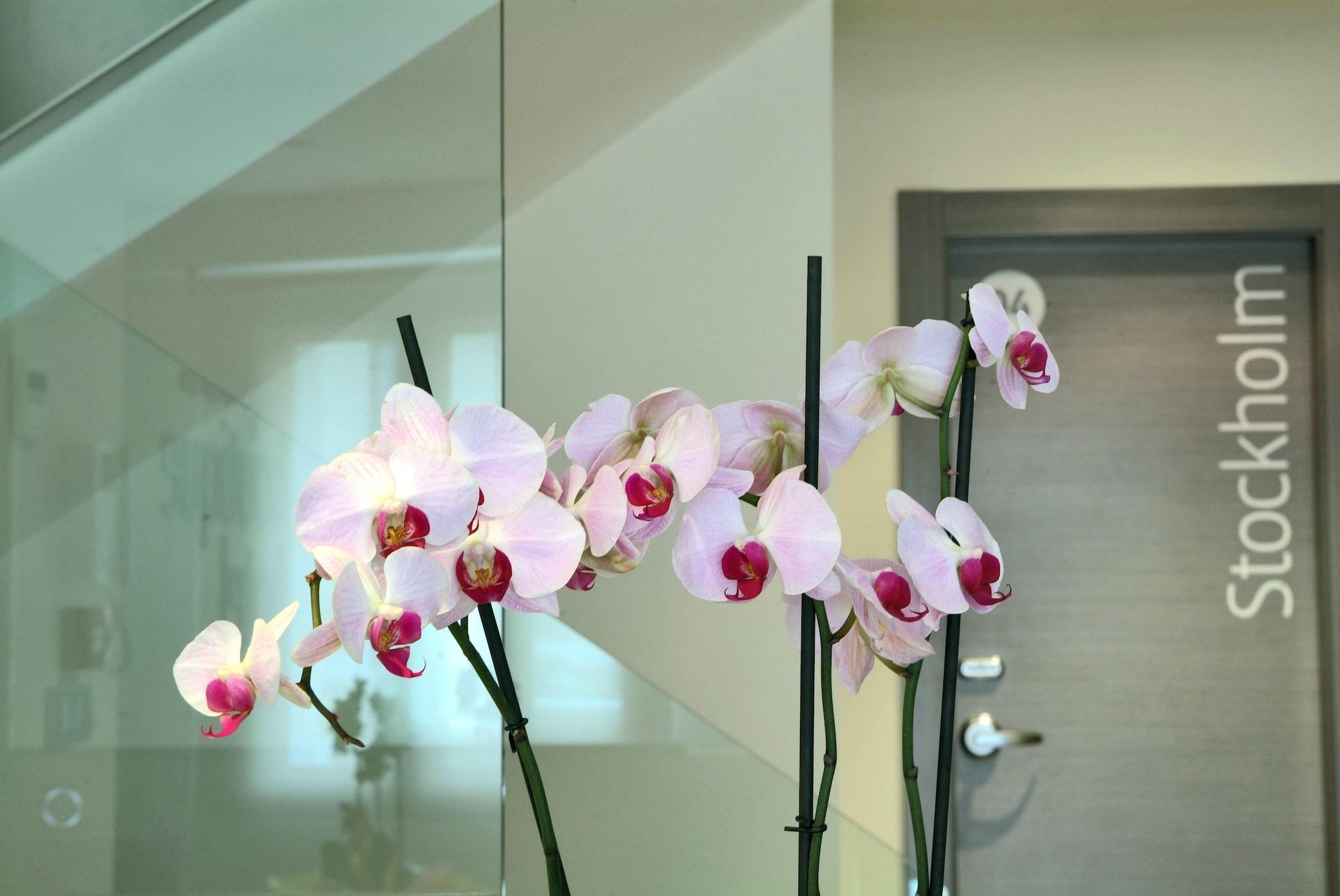 Le Petit Boutique Hotel by null