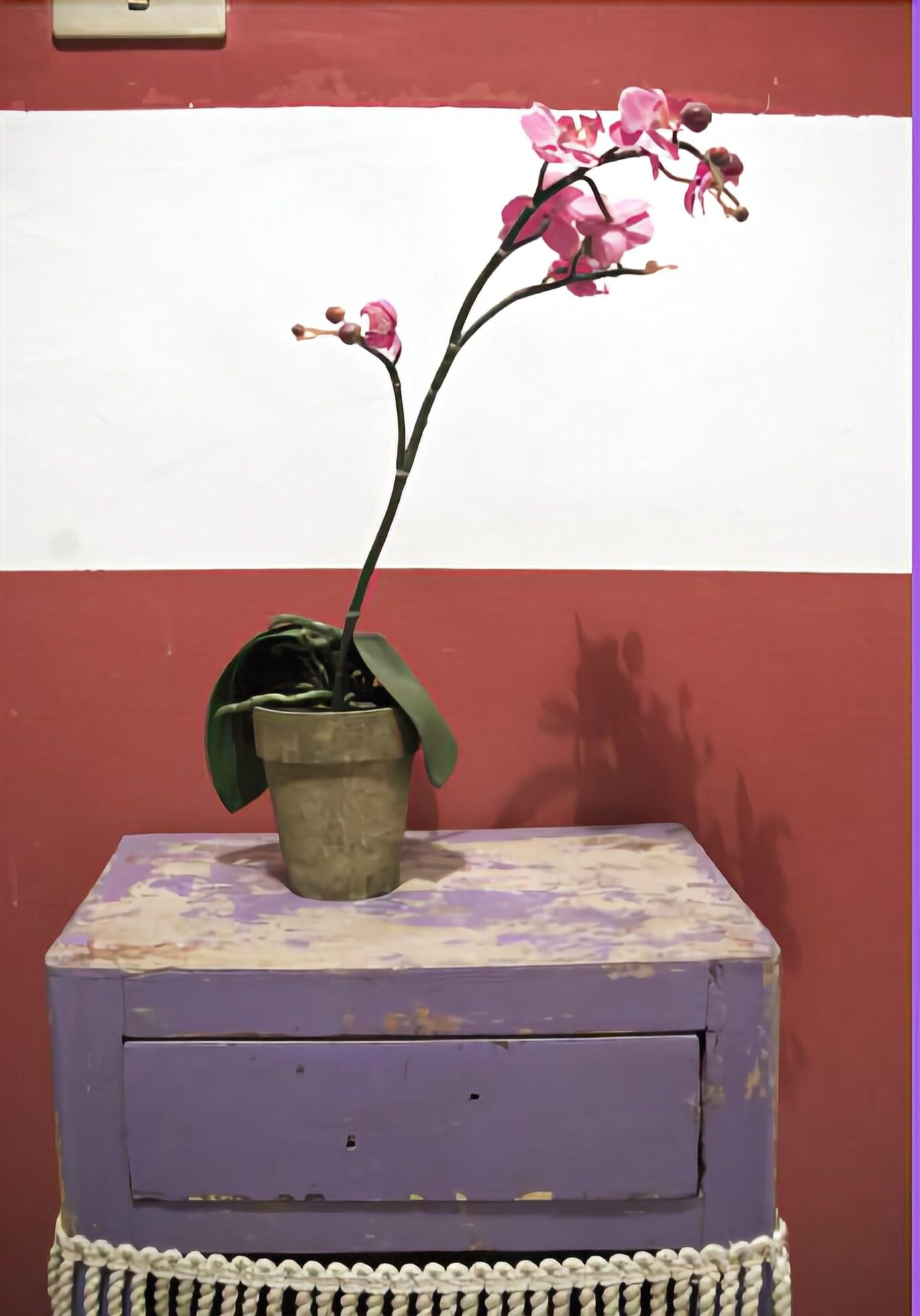 Hotel Colombo by null