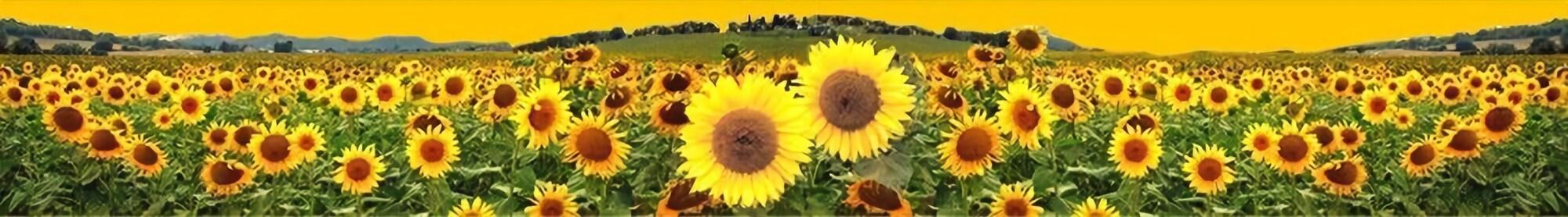 Il Girasole Hotel