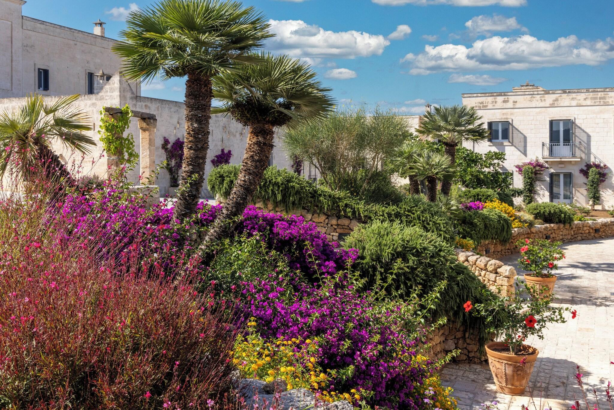 Hotel Masseria San Domenico by null