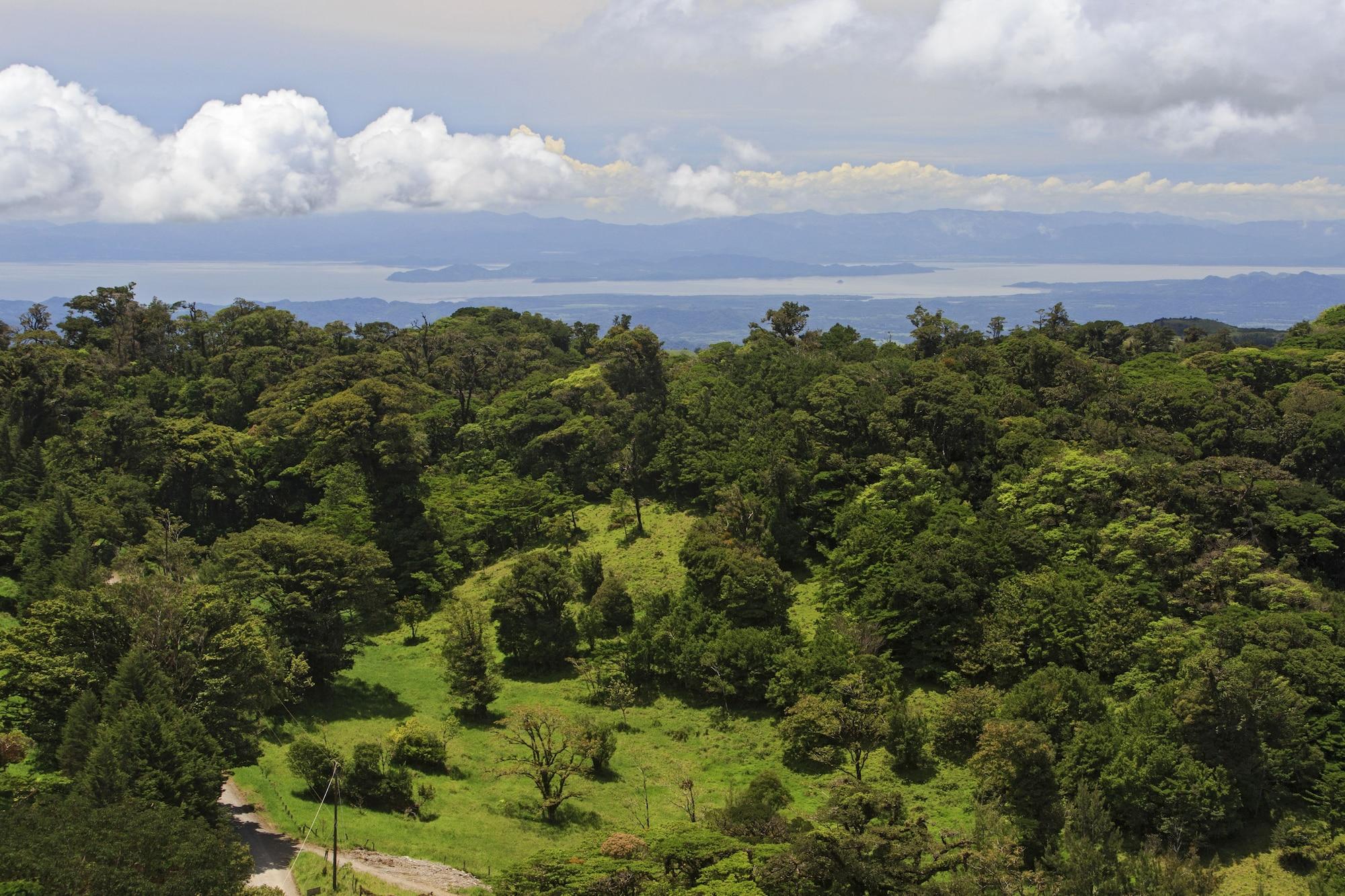 Hotel Senda Monteverde by null