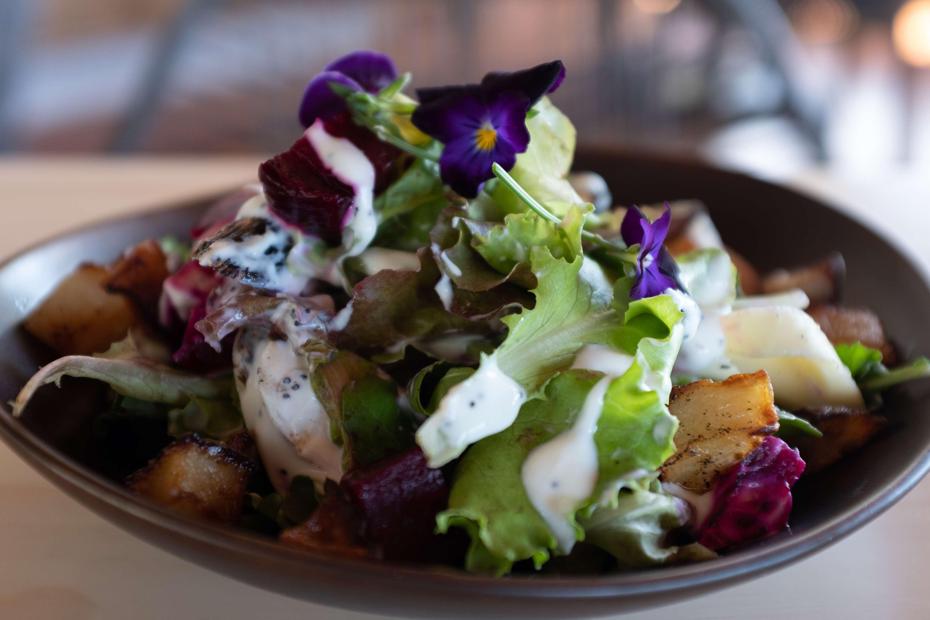 Hotel Senda Monteverde by null