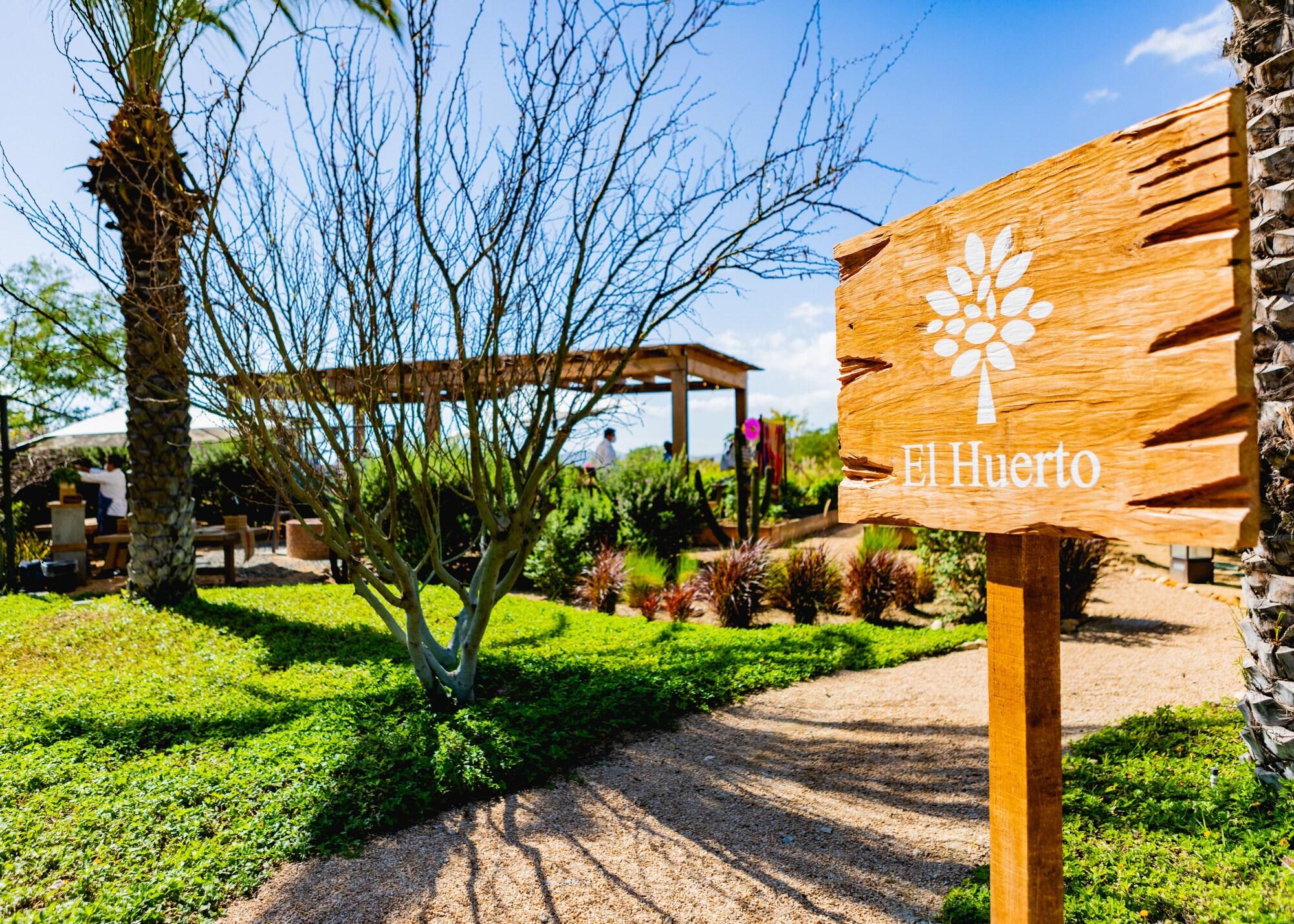 Zadun Los Cabos, a Ritz-Carlton Reserve by null